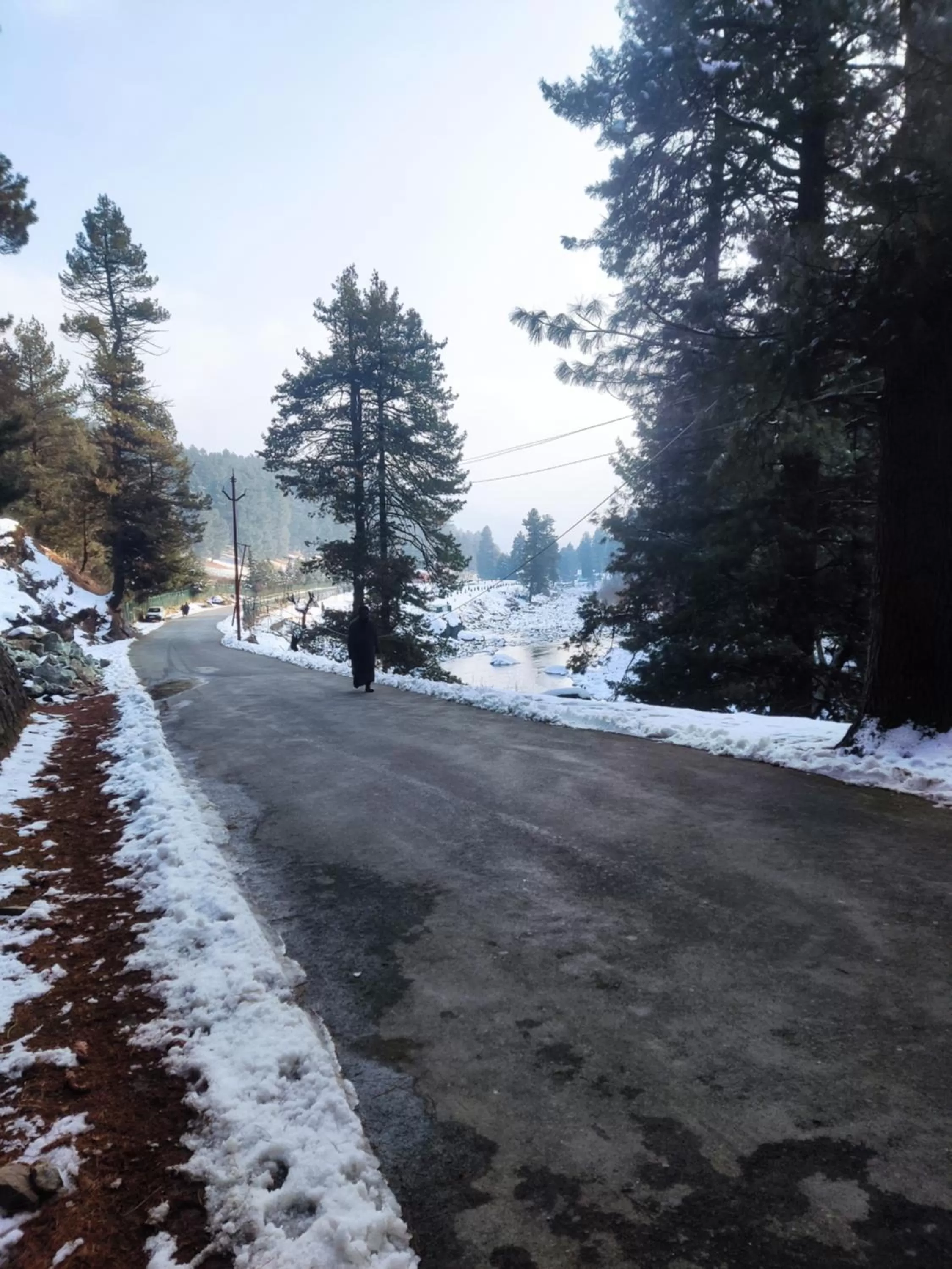 Winter in Dreamland Cottage