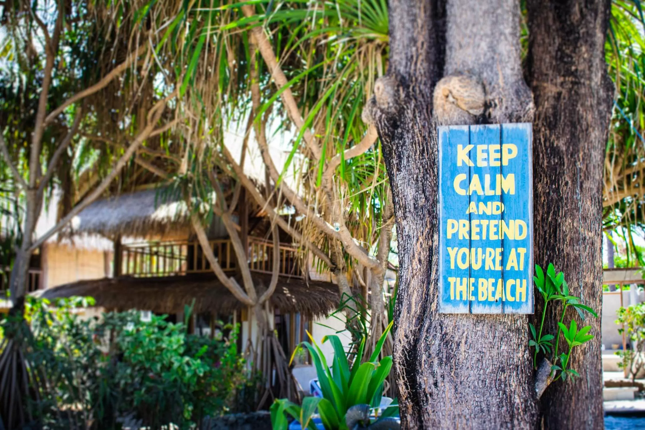 Area and facilities in Sunrise Resort