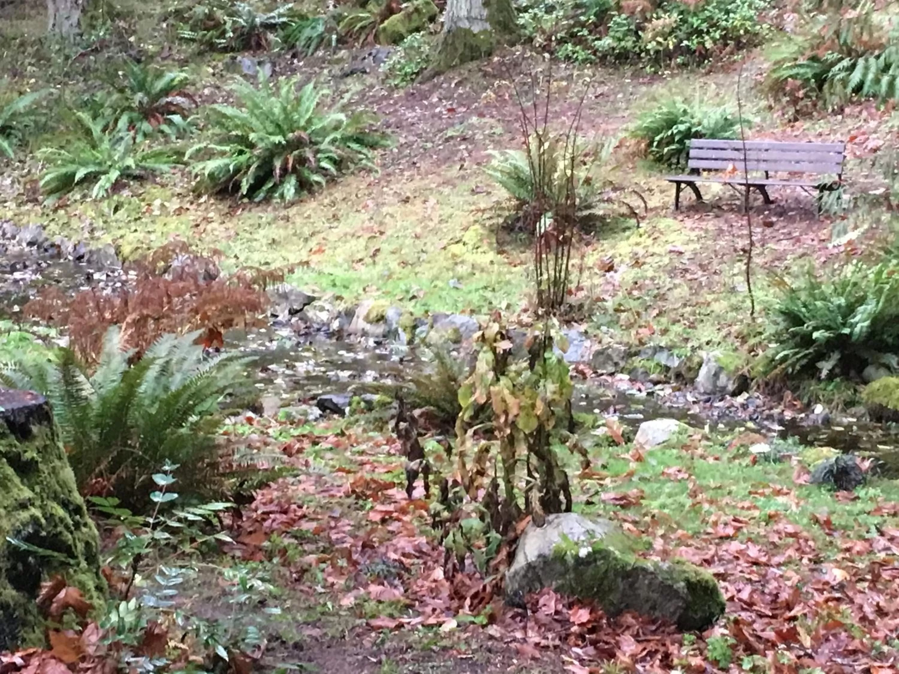 Amante Luxury Bed & Breakfast