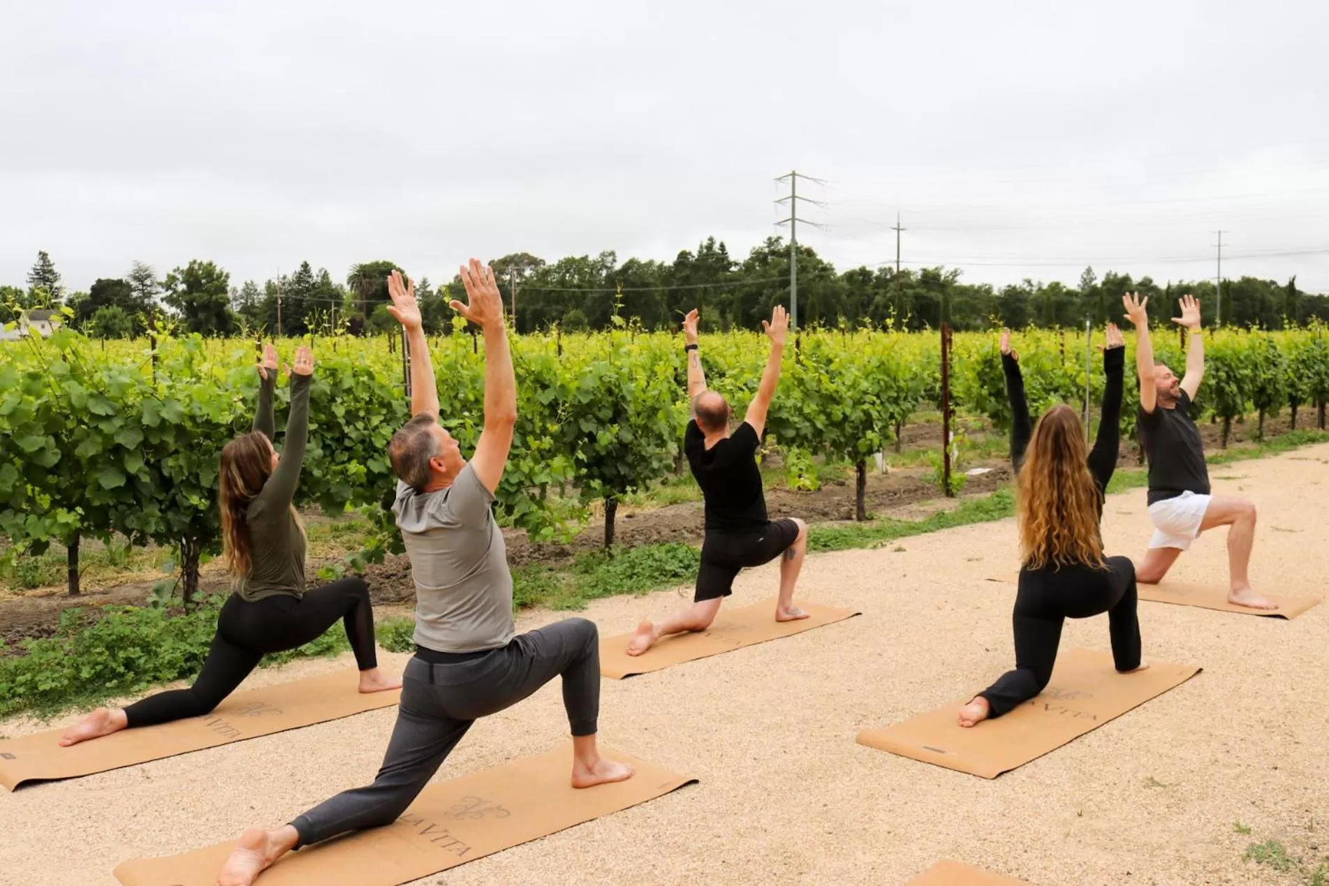 Fitness centre/facilities in Vinarosa Resort & Spa