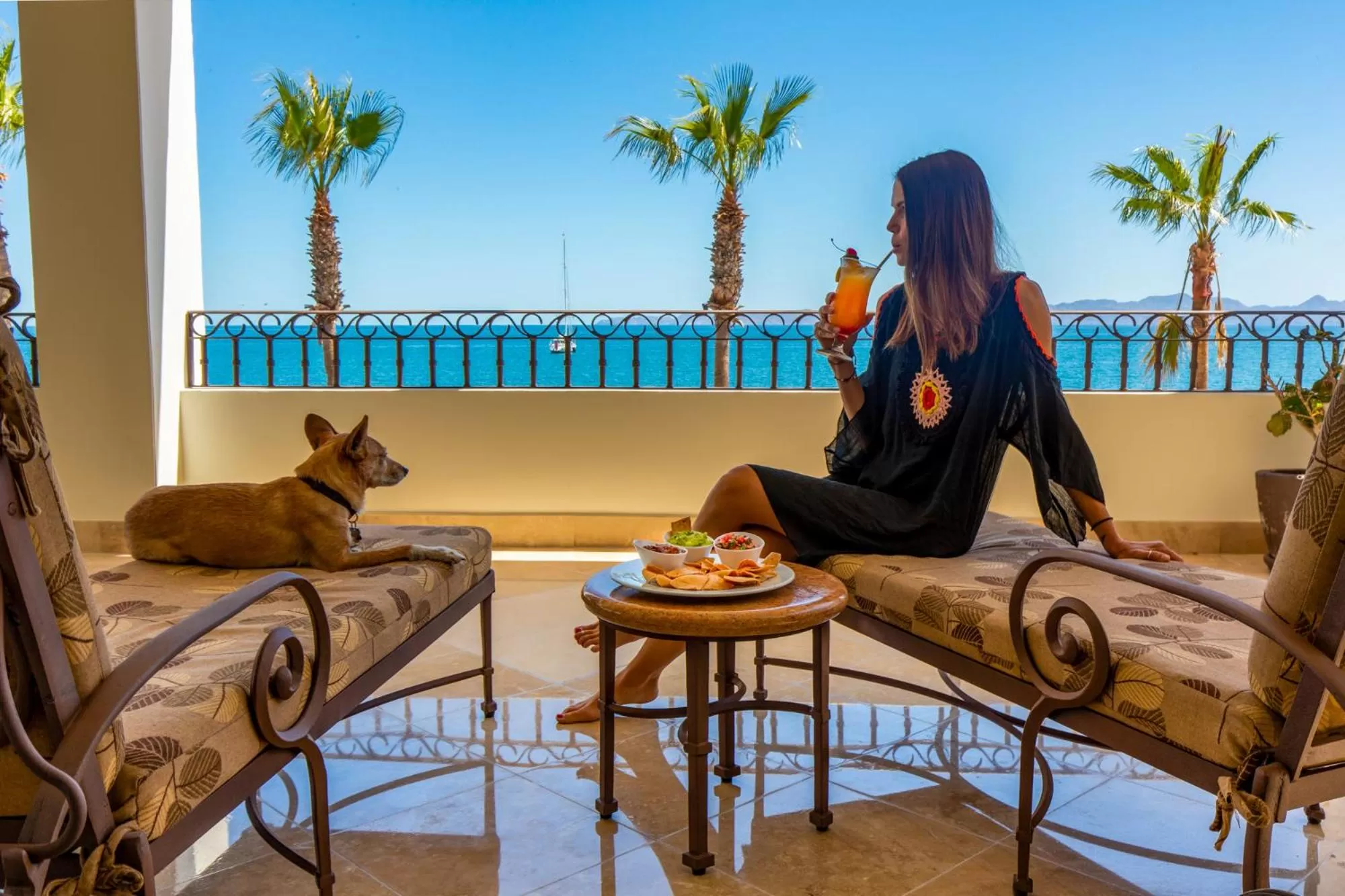 Pets in La Mision Loreto