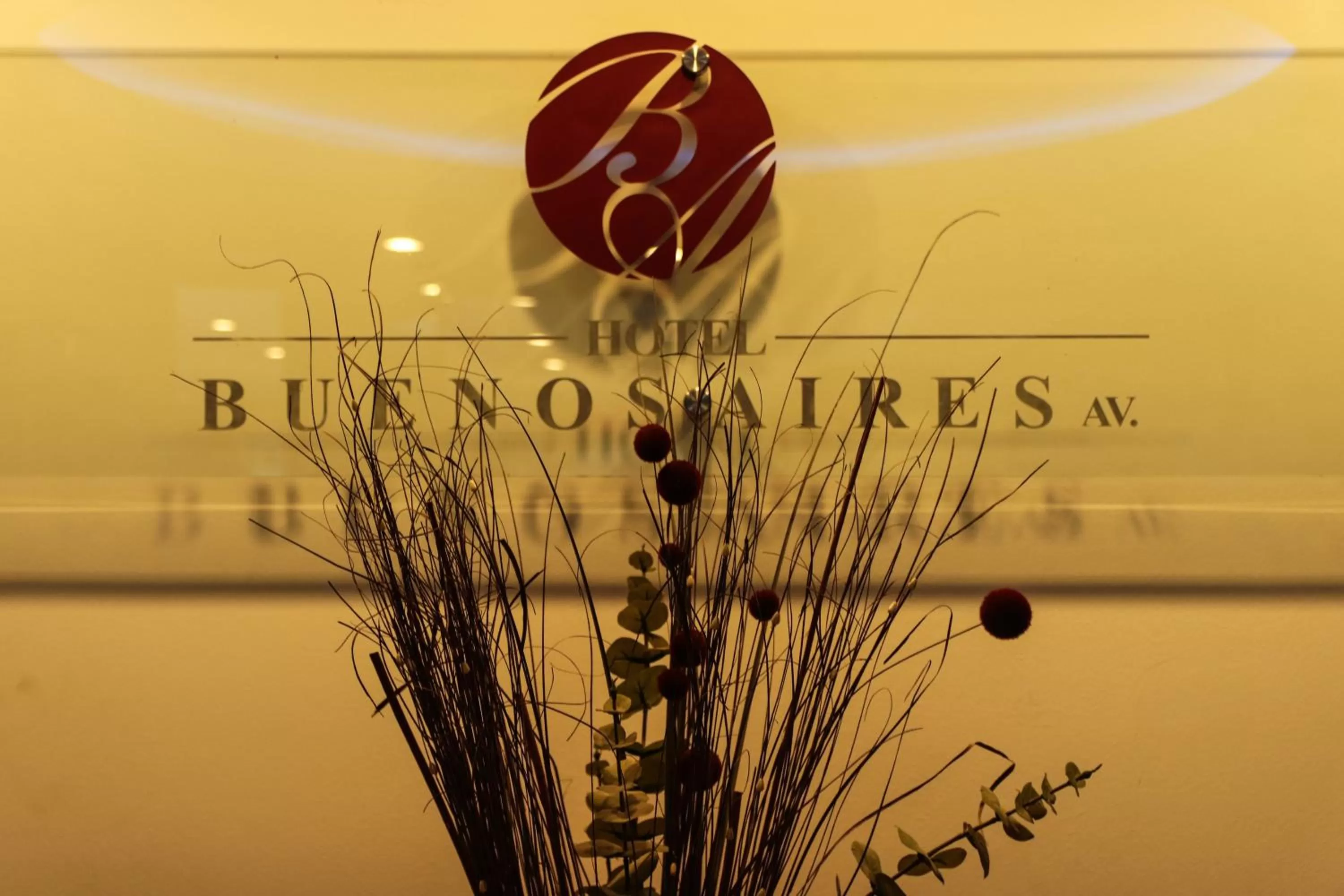 Property logo or sign in Hotel Buenos Aires