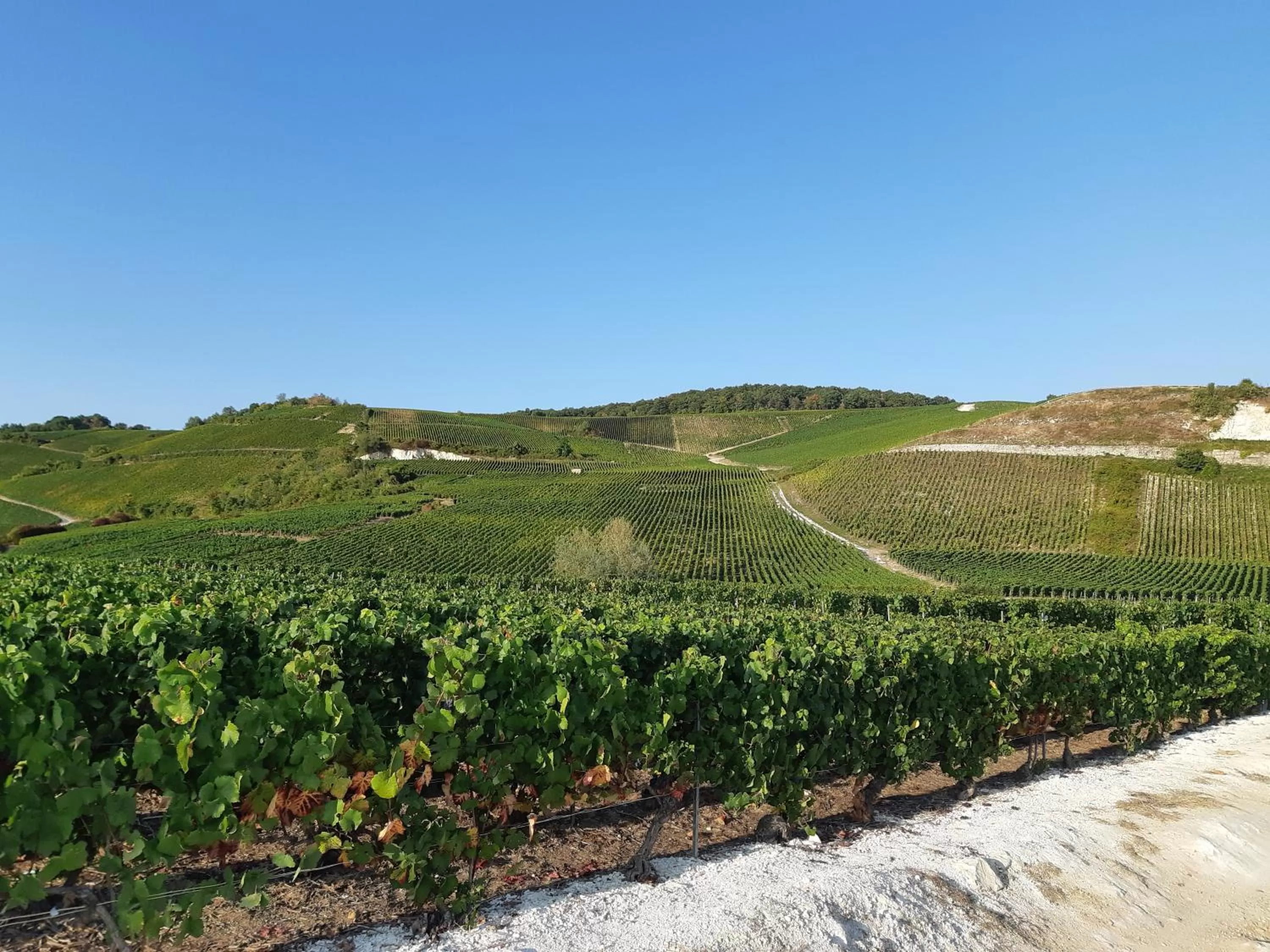 La Cour des Marotiers