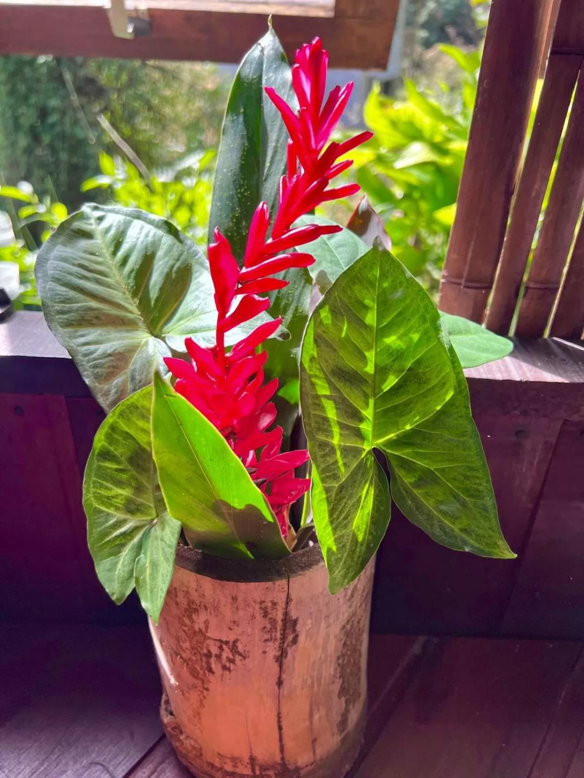 Garden in Sitio Simple Life