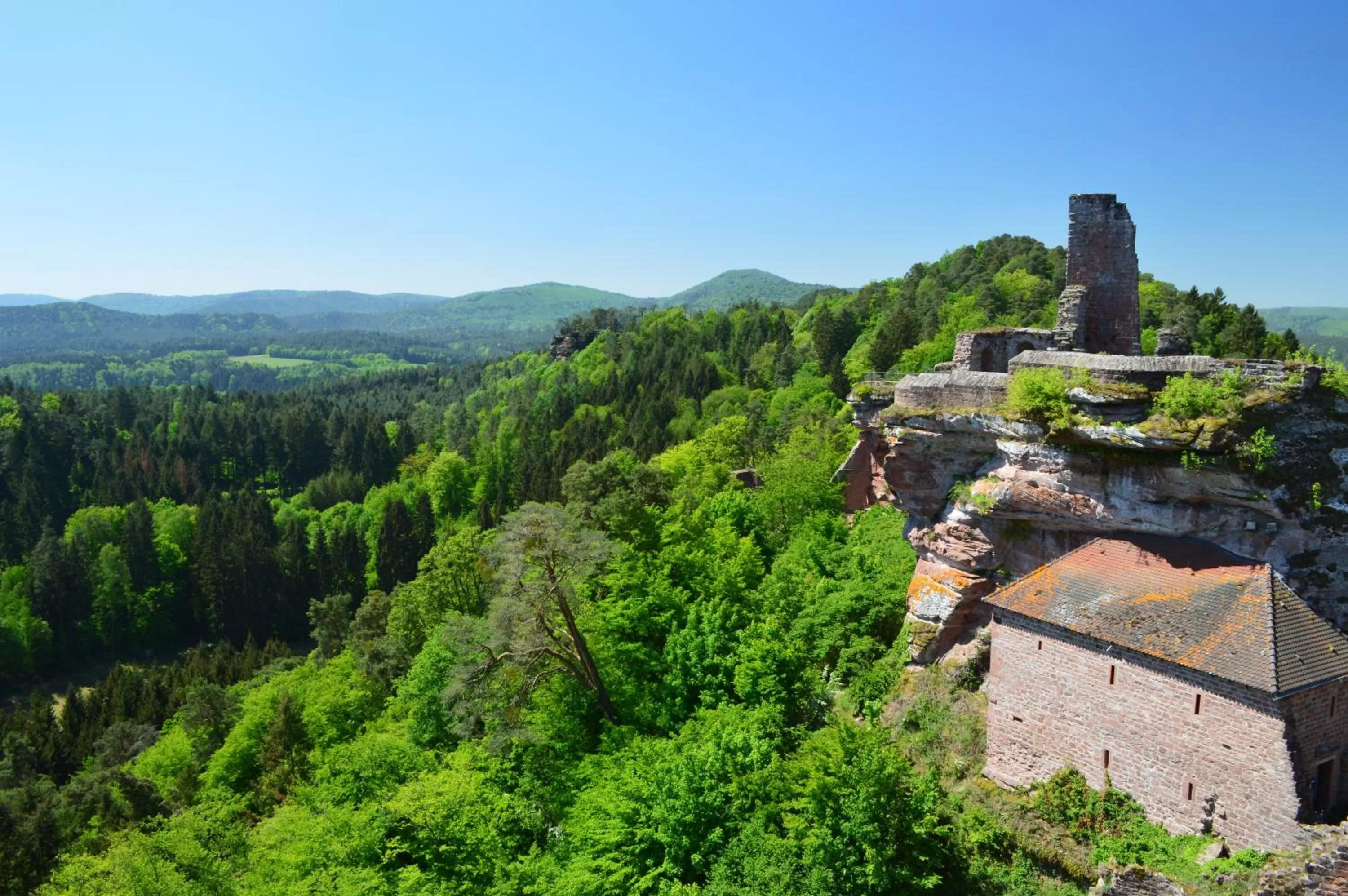 Natural landscape in Hotel-Hauensteiner-Hof