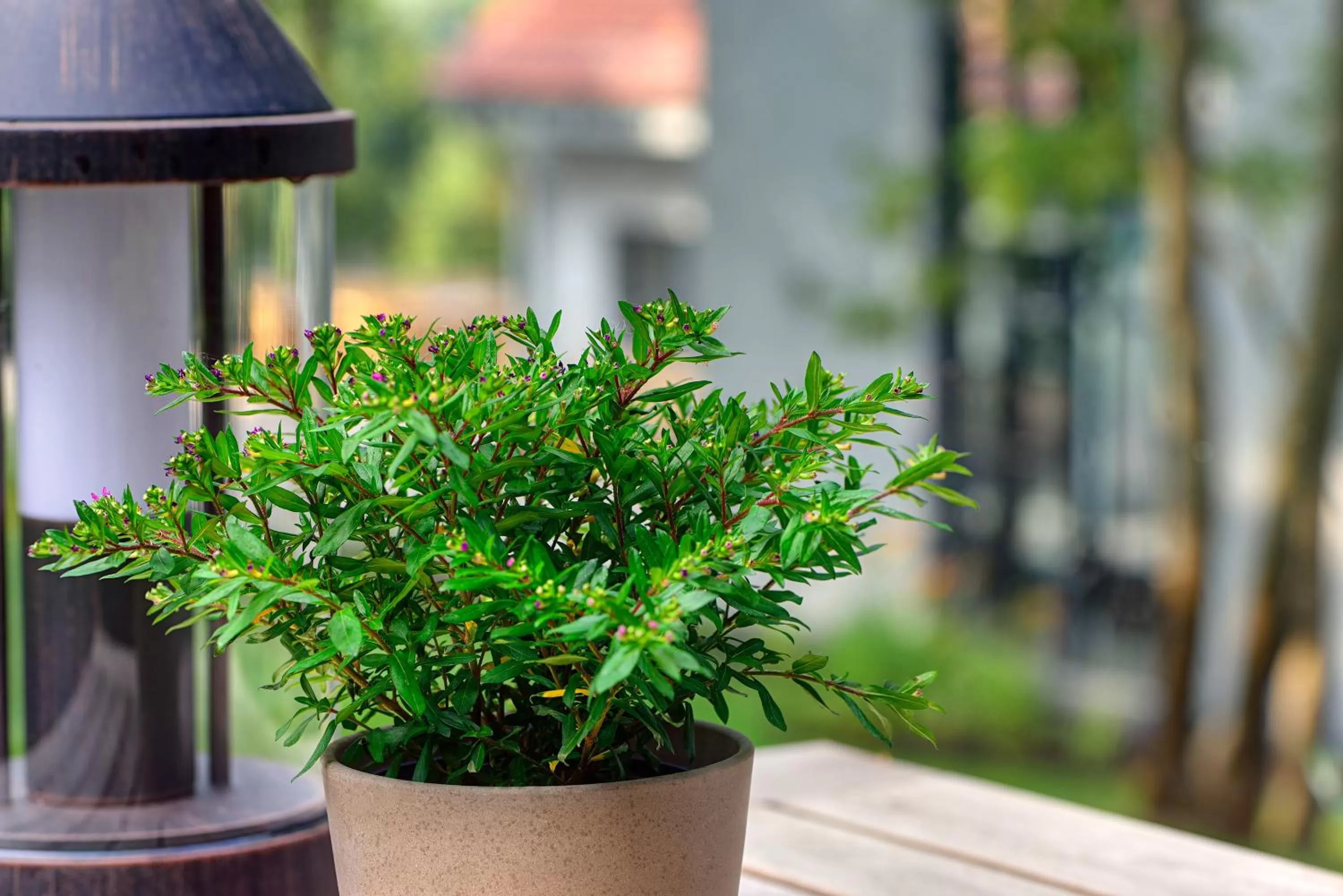 Facade/entrance in ARTHOTEL Kiebitzberg