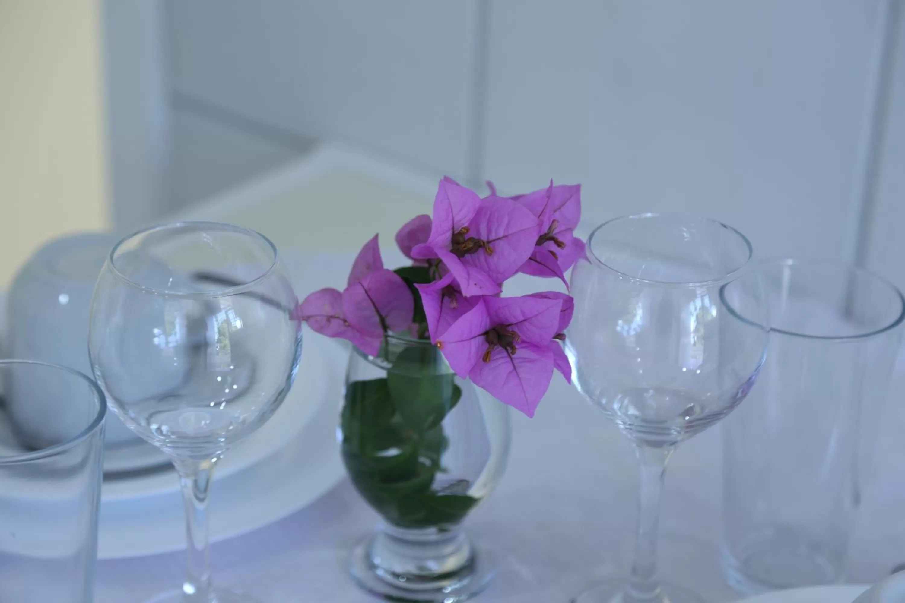 Pousada Lanai Canela