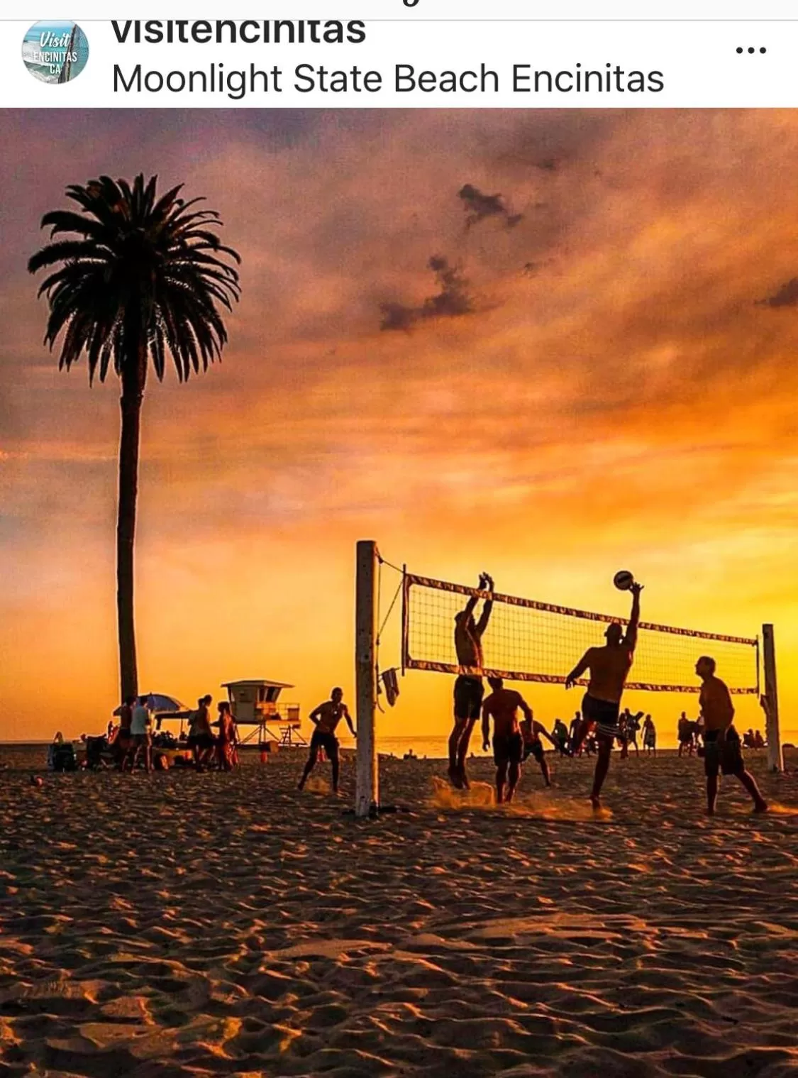 Beach in Moonlight Beach Motel