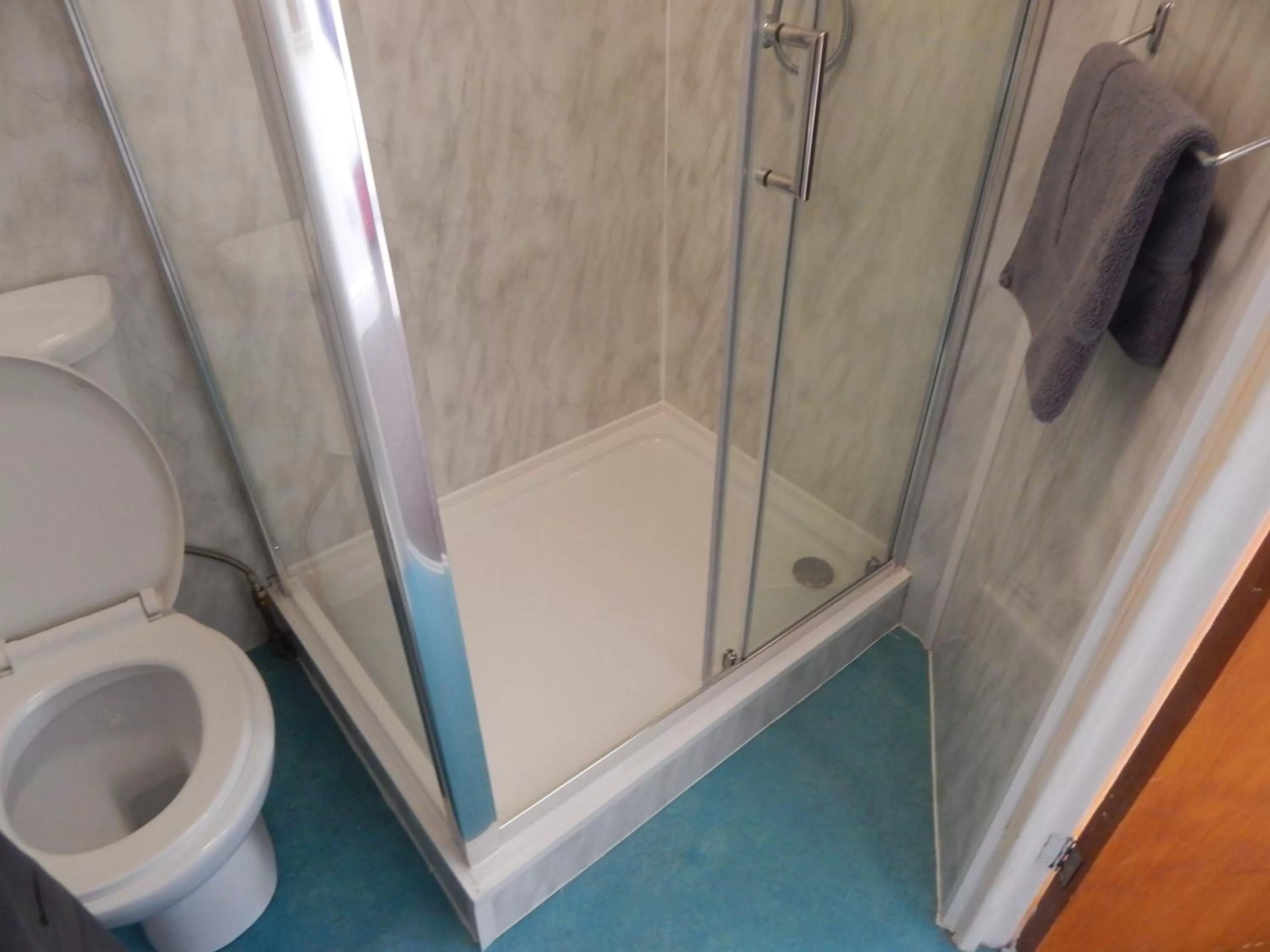 Shower, Bathroom in Llanryan Guest House