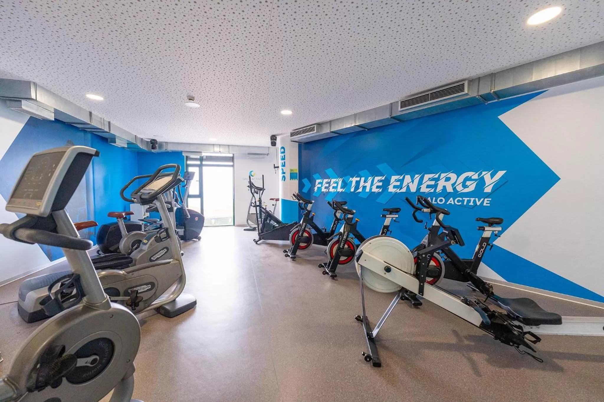 Activities in Sentido Galosol