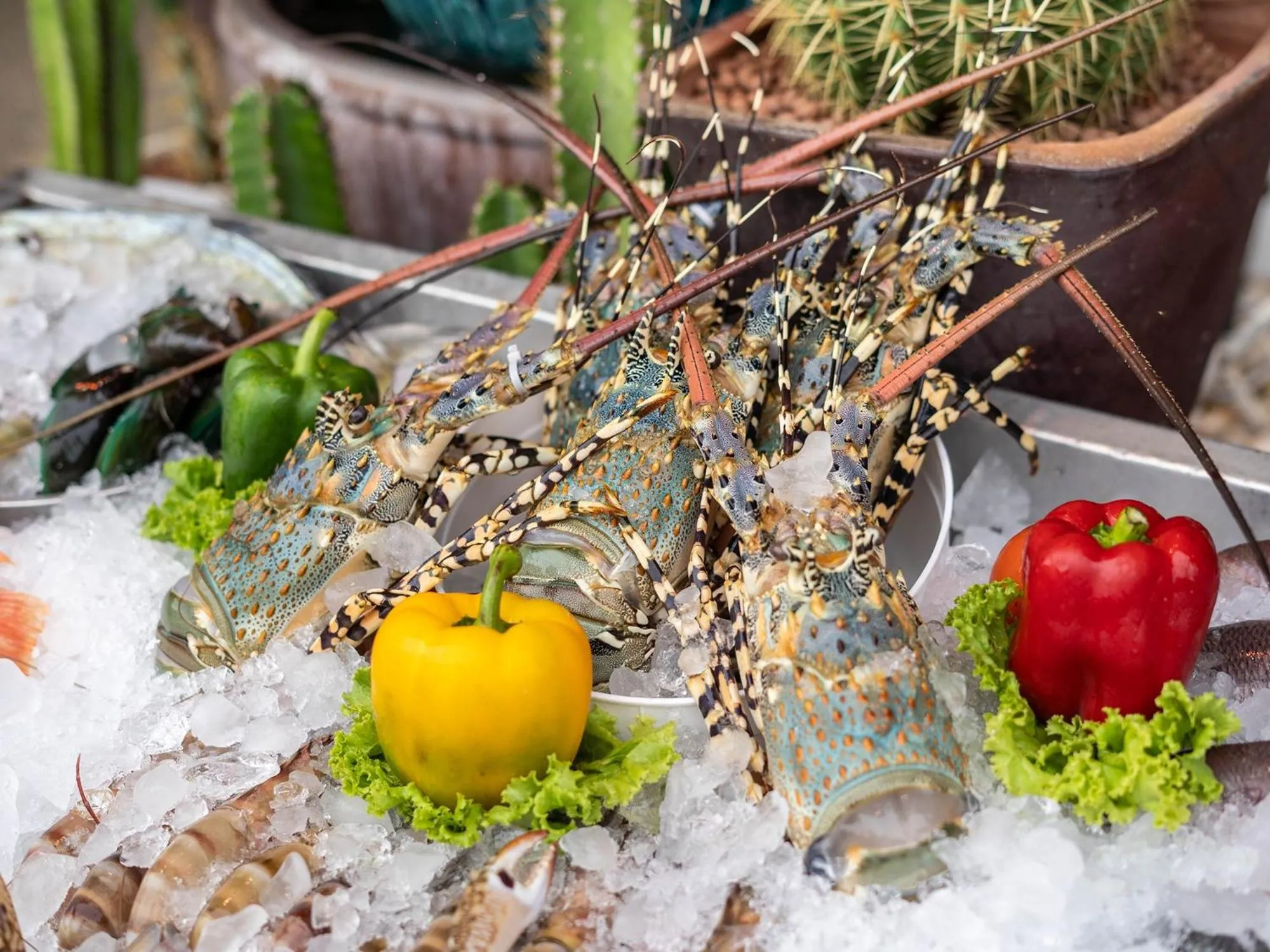 Food in Baan Sailom Hotel Phuket - Sha Extra Plus