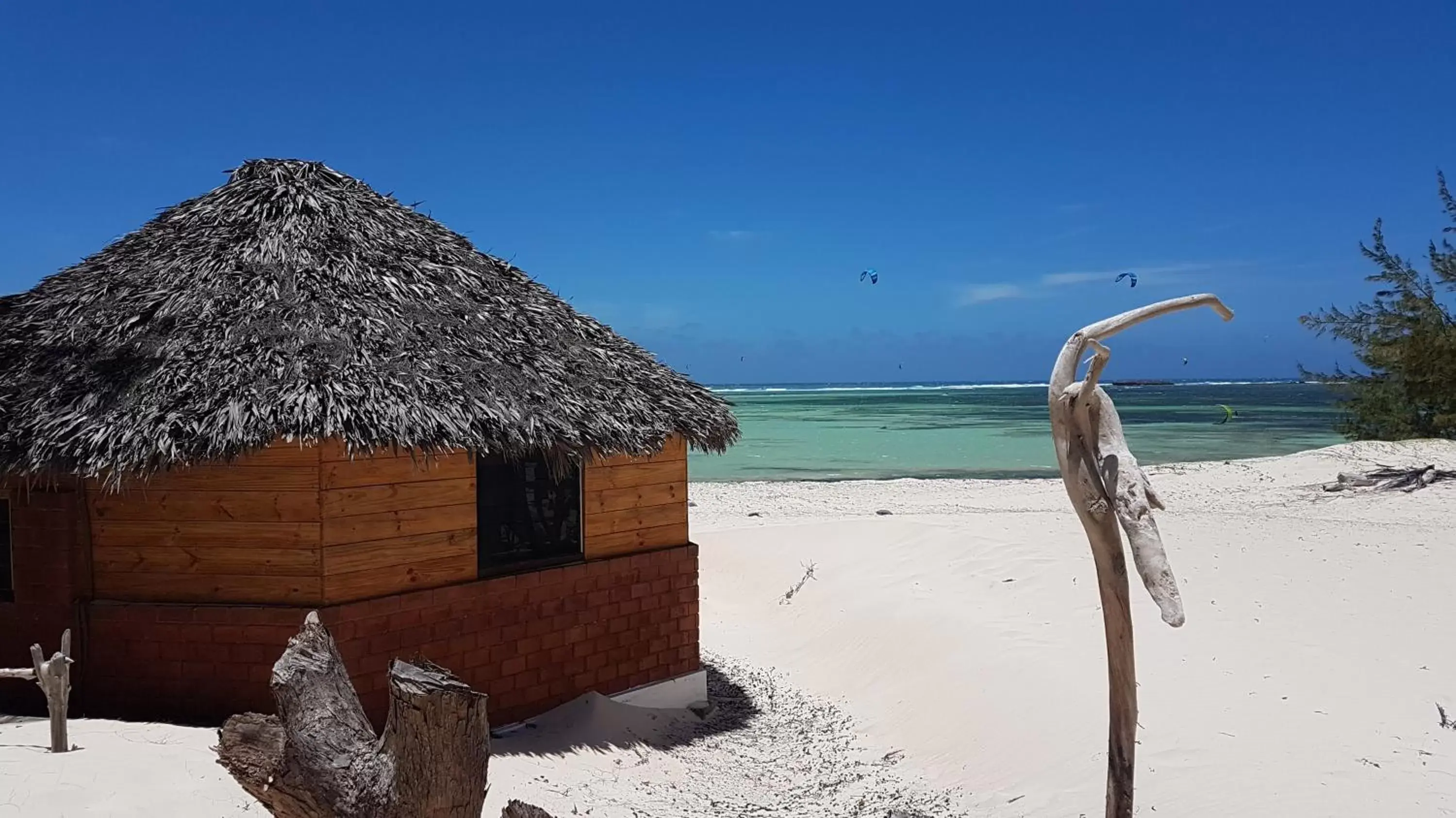 Ocean Lodge Kite & Windsurf Ocean Lodge Kite & Windsurf