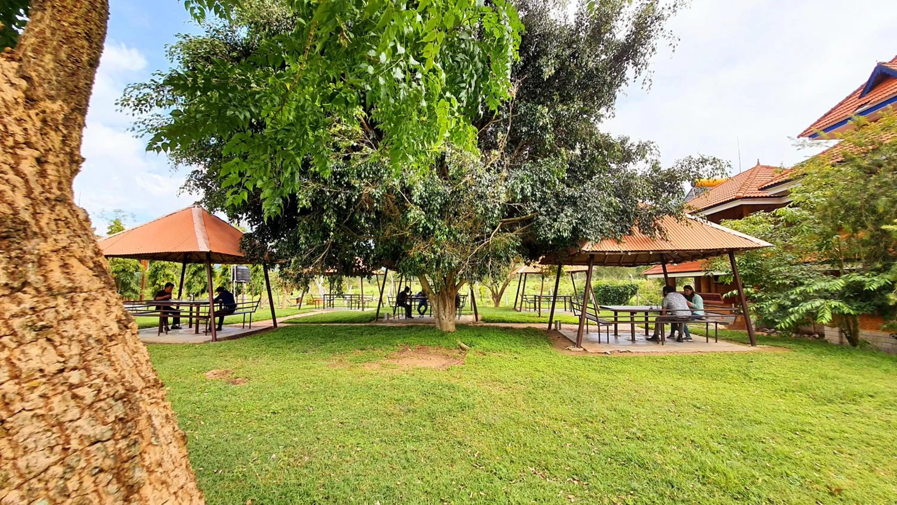 Restaurant/places to eat in Avadale Masinagudi - Stag Groups Not Allowed