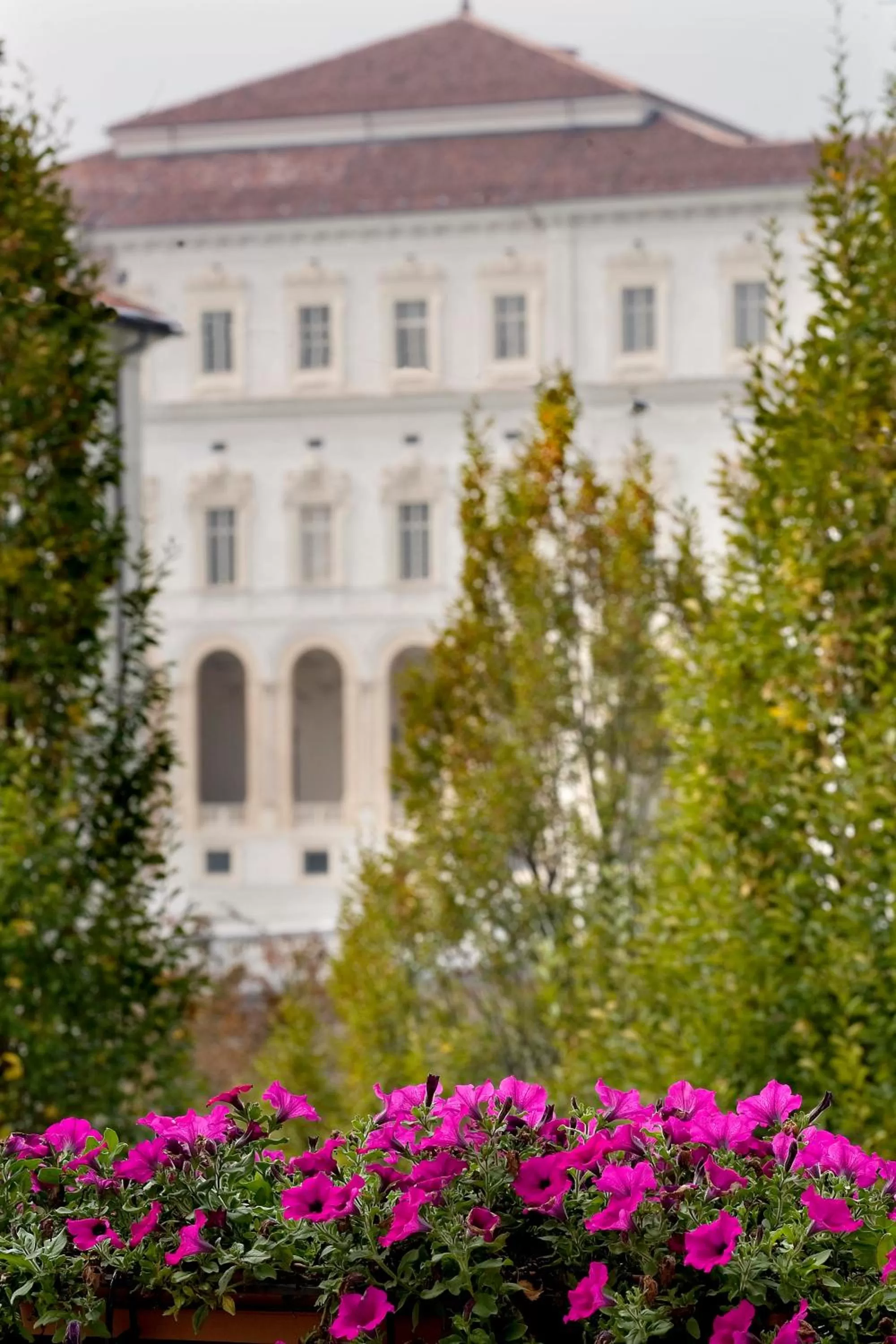 Day in Hotel Cascina Di Corte