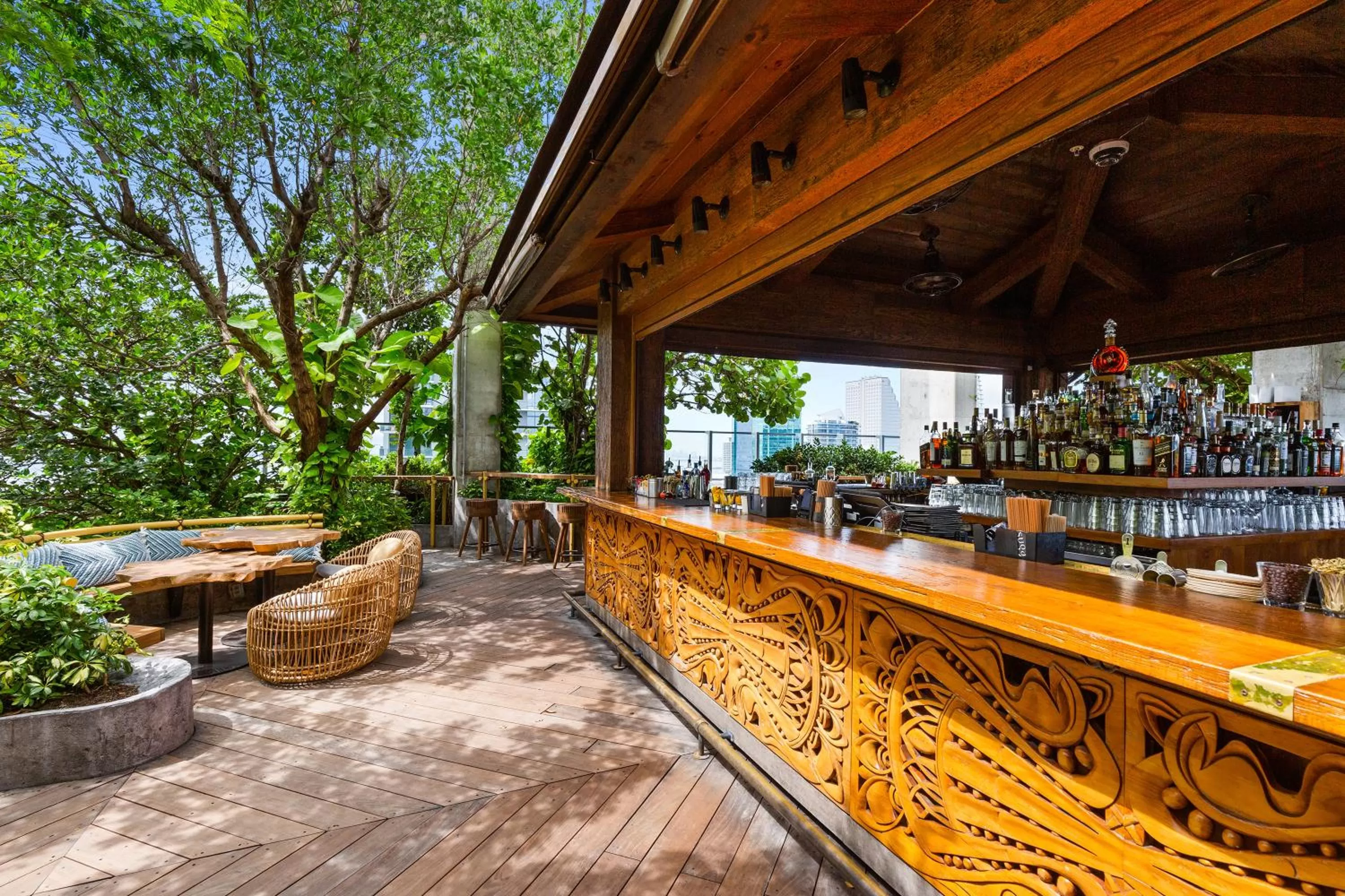 Garden in EAST Miami