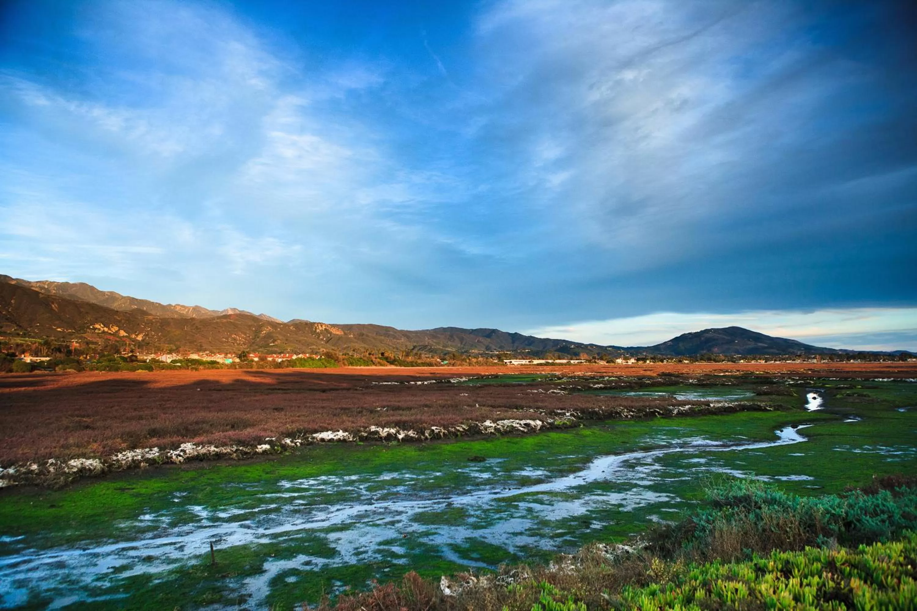 Nearby landmark in Holiday Inn Express & Suites Carpinteria by IHG