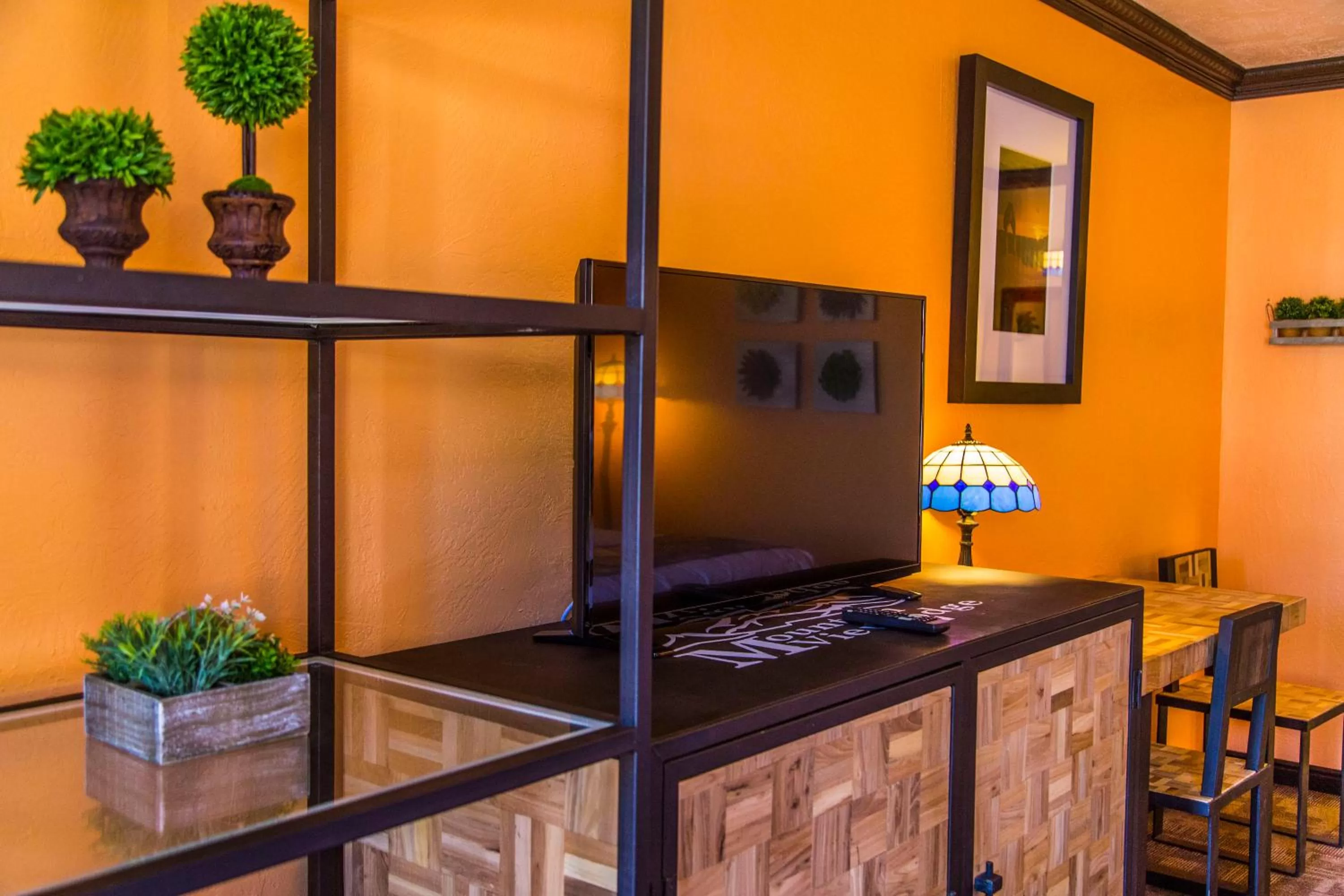 TV and multimedia in Mountain View Lodge