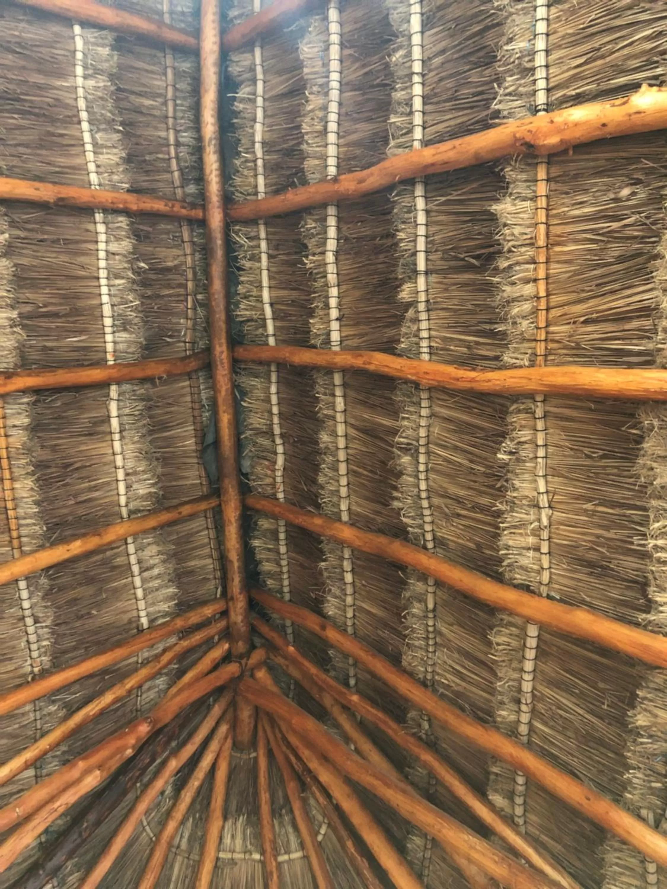 Cabañas Cinco Elementos