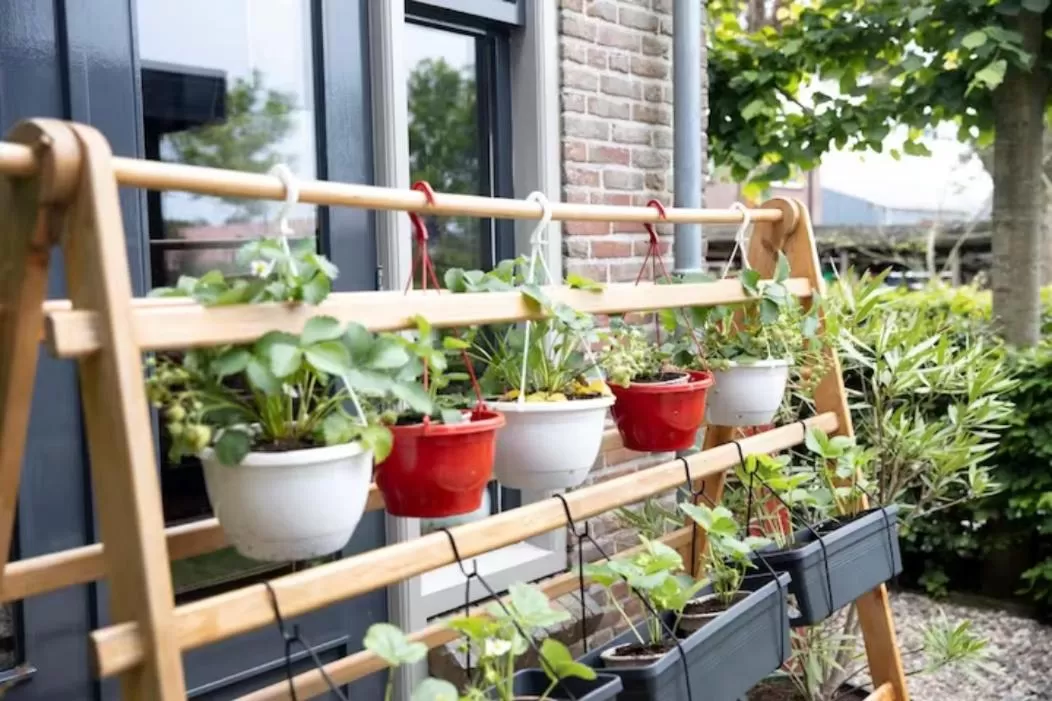 Garden in B&B Klassiek