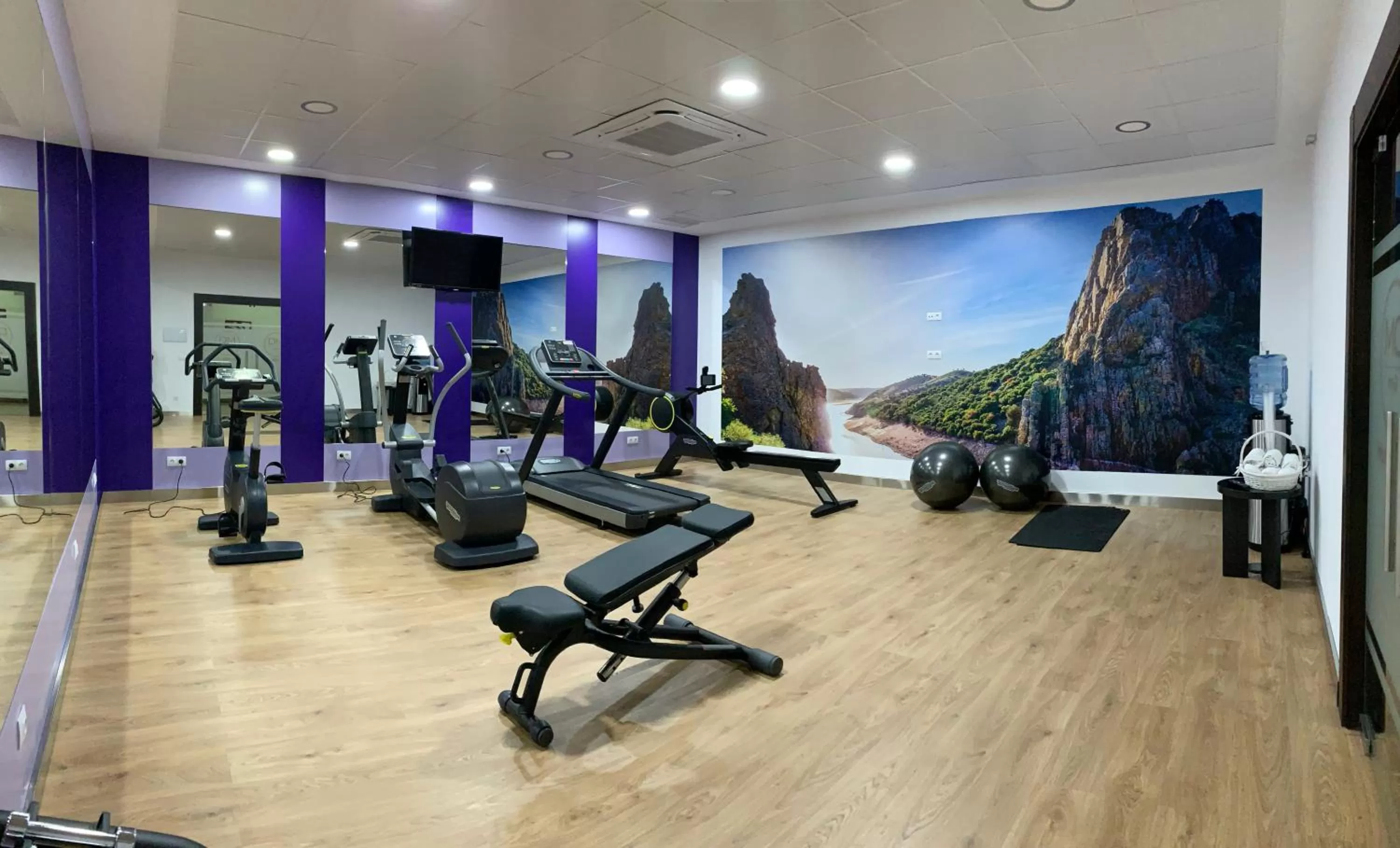 Fitness centre/facilities in Gran Hotel Don Manuel