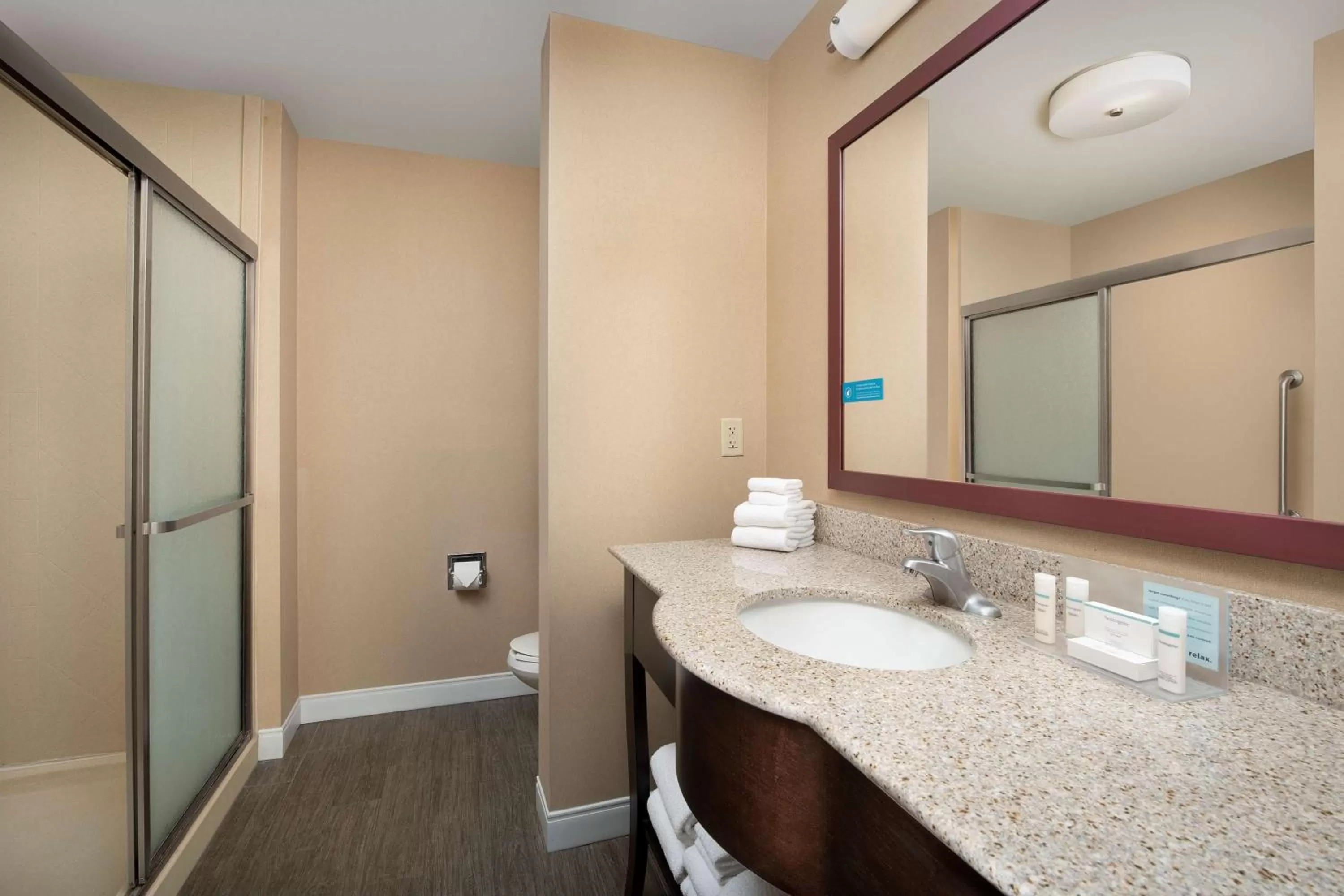 Bathroom in Hampton Inn & Suites Lakeland-South Polk Parkway