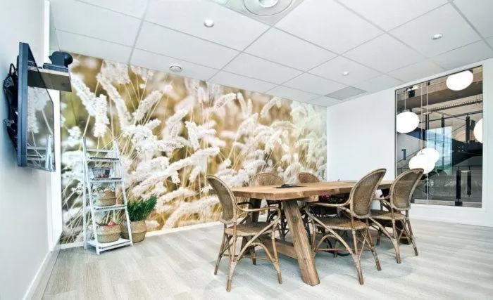 Meeting/conference room in Coloft