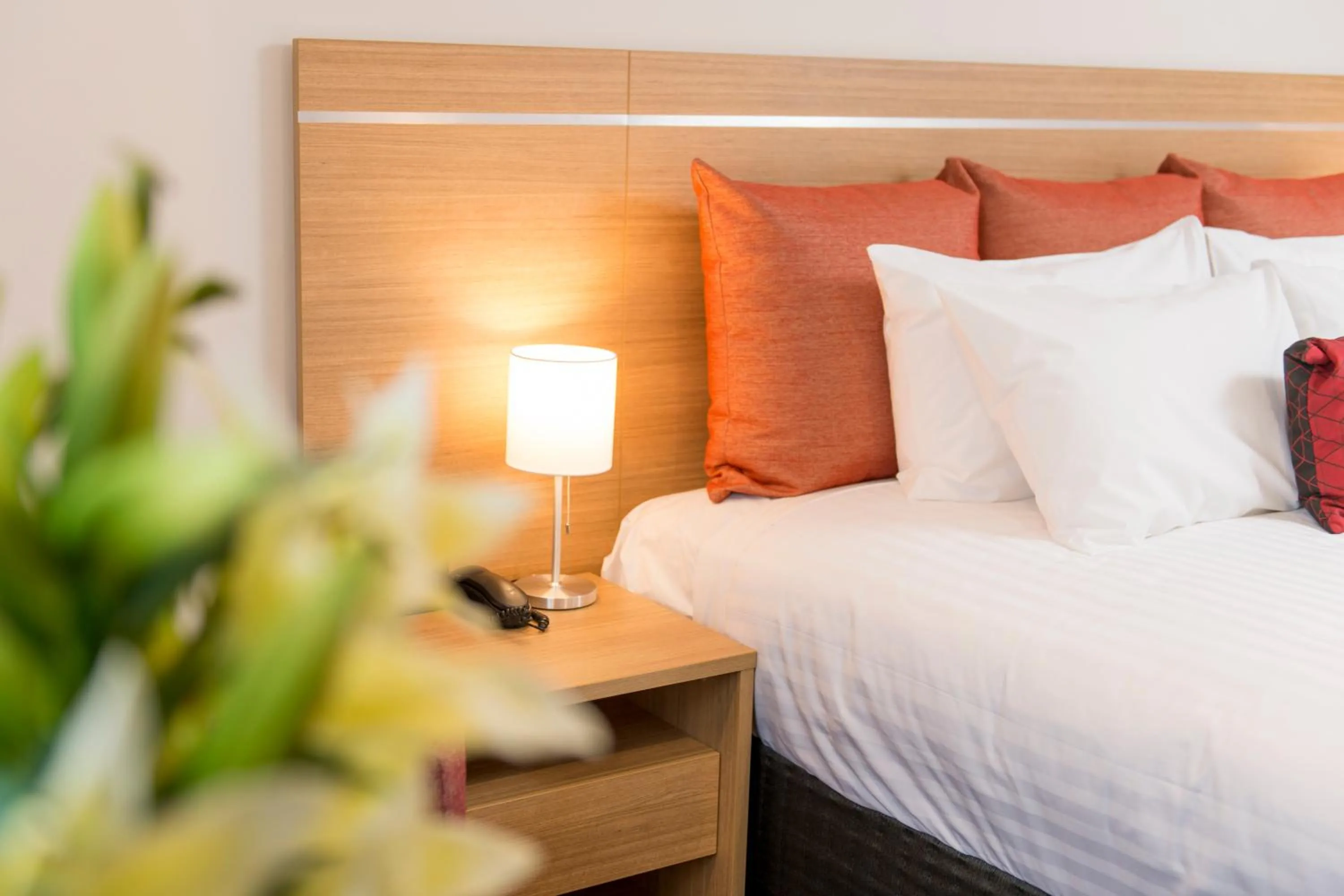 Bed in Adelaide Royal Coach