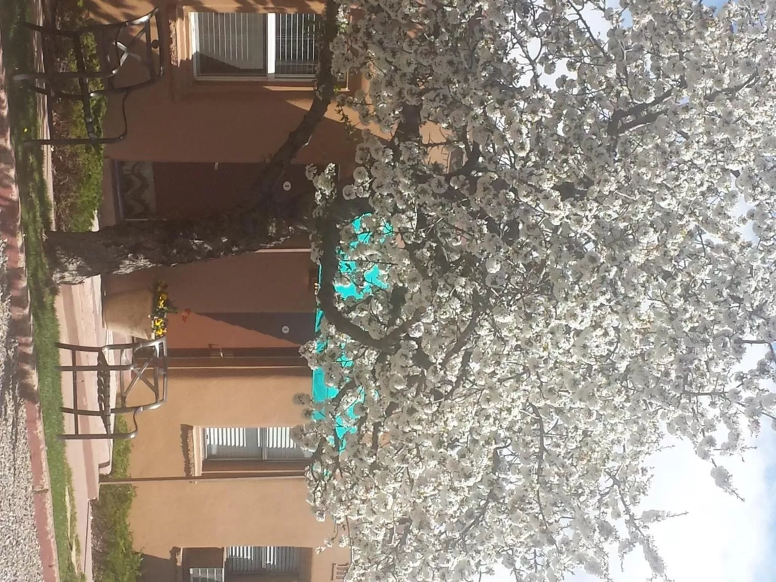 Garden in Stone Lizard Lodge