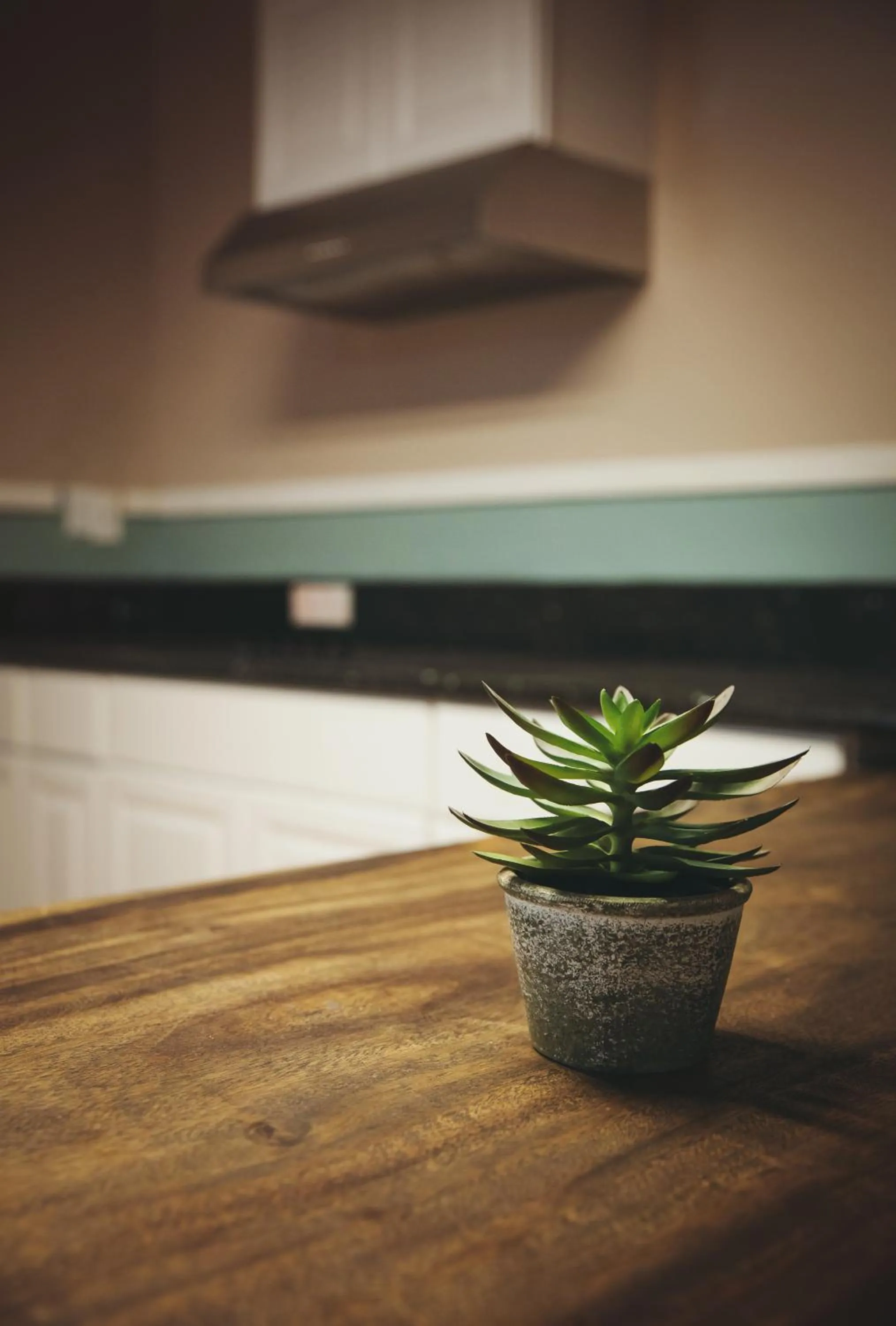 Decorative detail, TV/Entertainment Center in Melrose Hostel