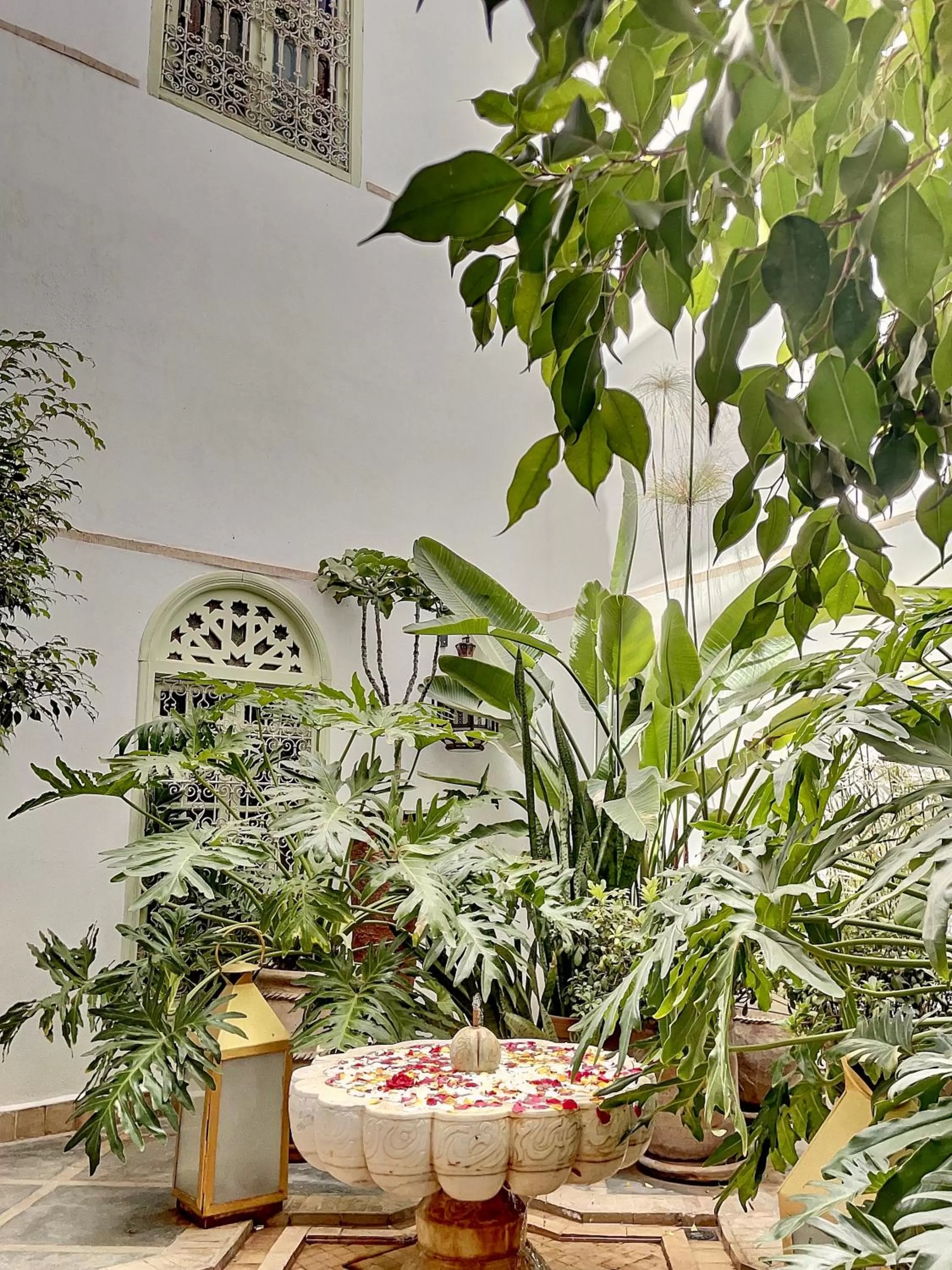 Patio in Riad Dar Chacha