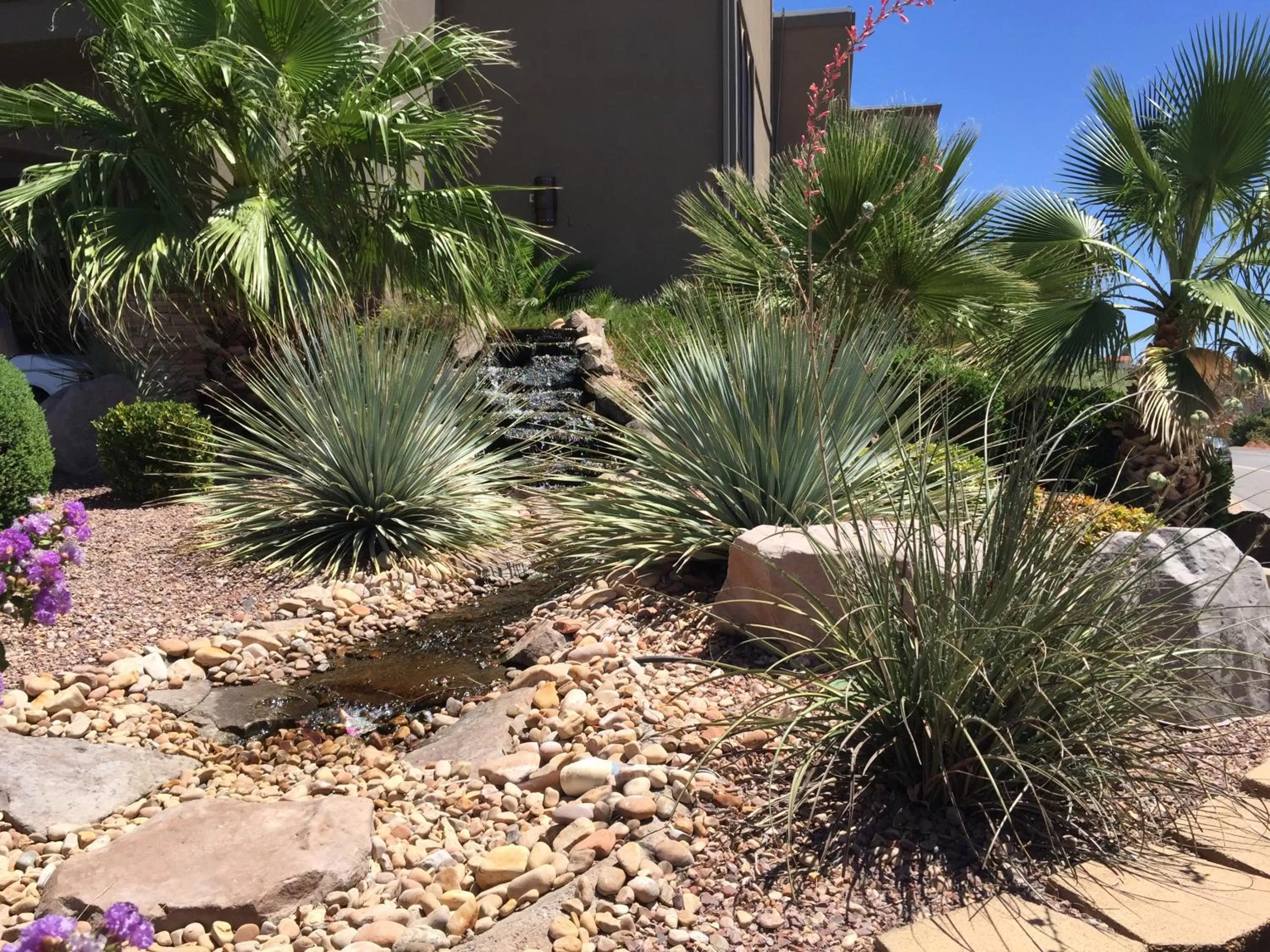 Garden in Days Inn by Wyndham St. George