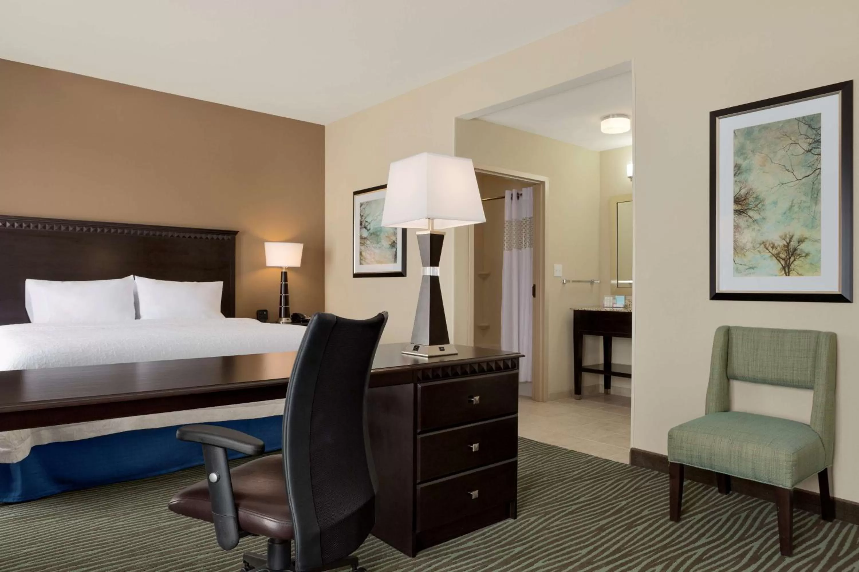 King Studio Suite - Non Smoking in Hampton Inn and Suites Parkersburg Downtown