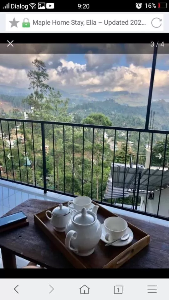 Maple home stay and cottage