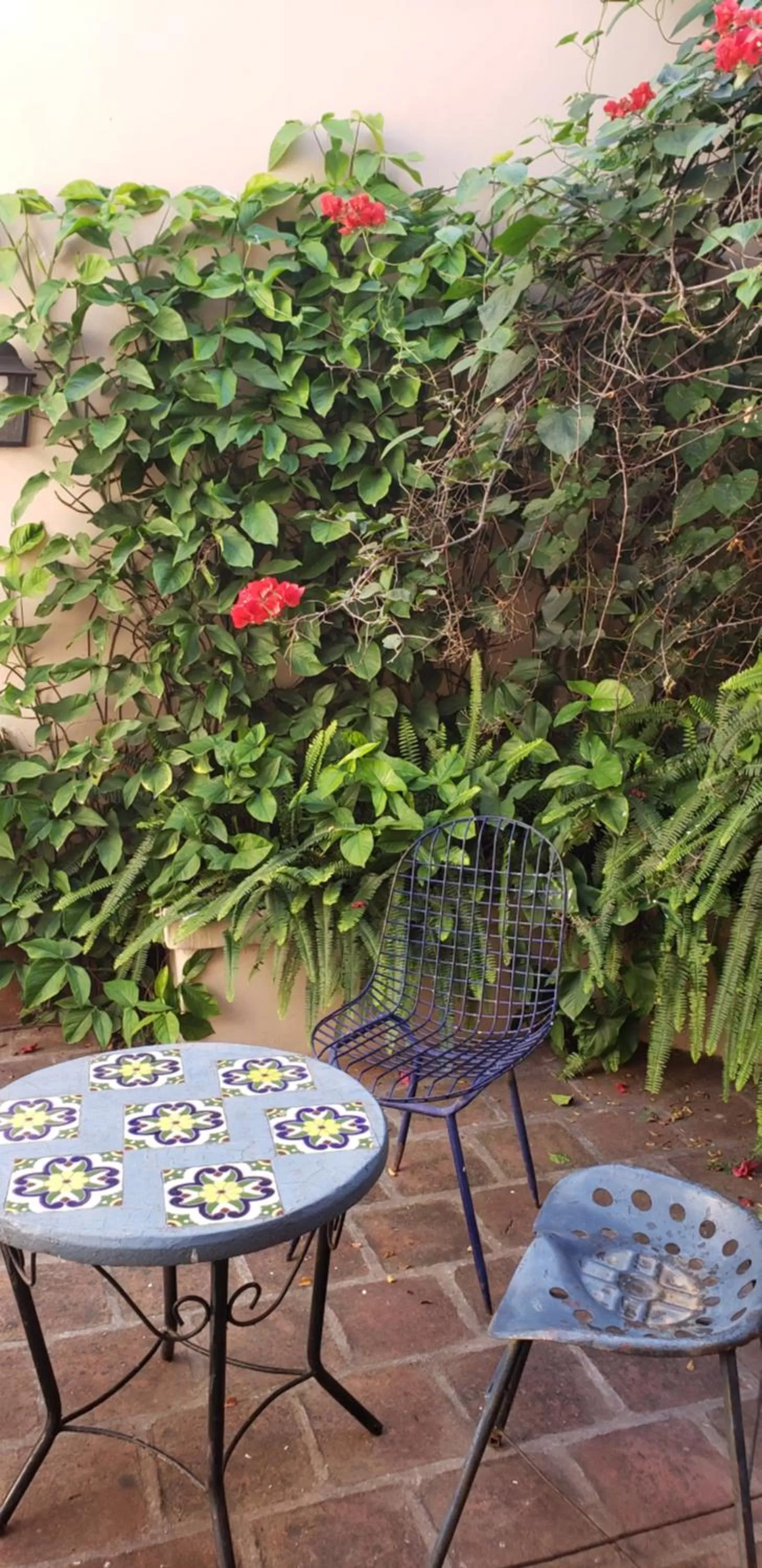 Posta del Ángel - Salta