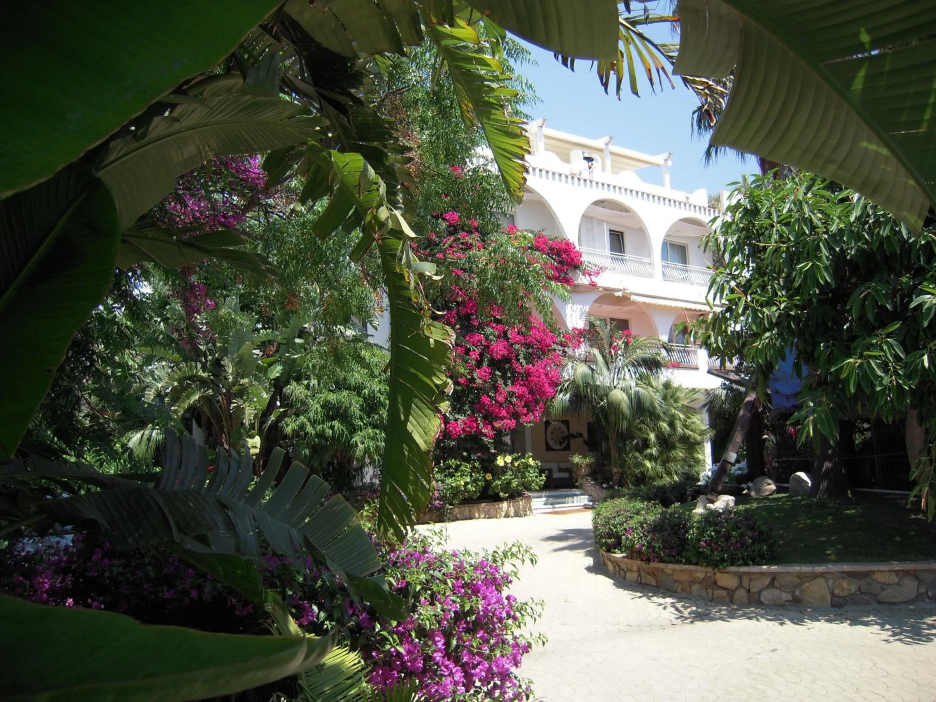 Facade/entrance in Hotel Simius Playa