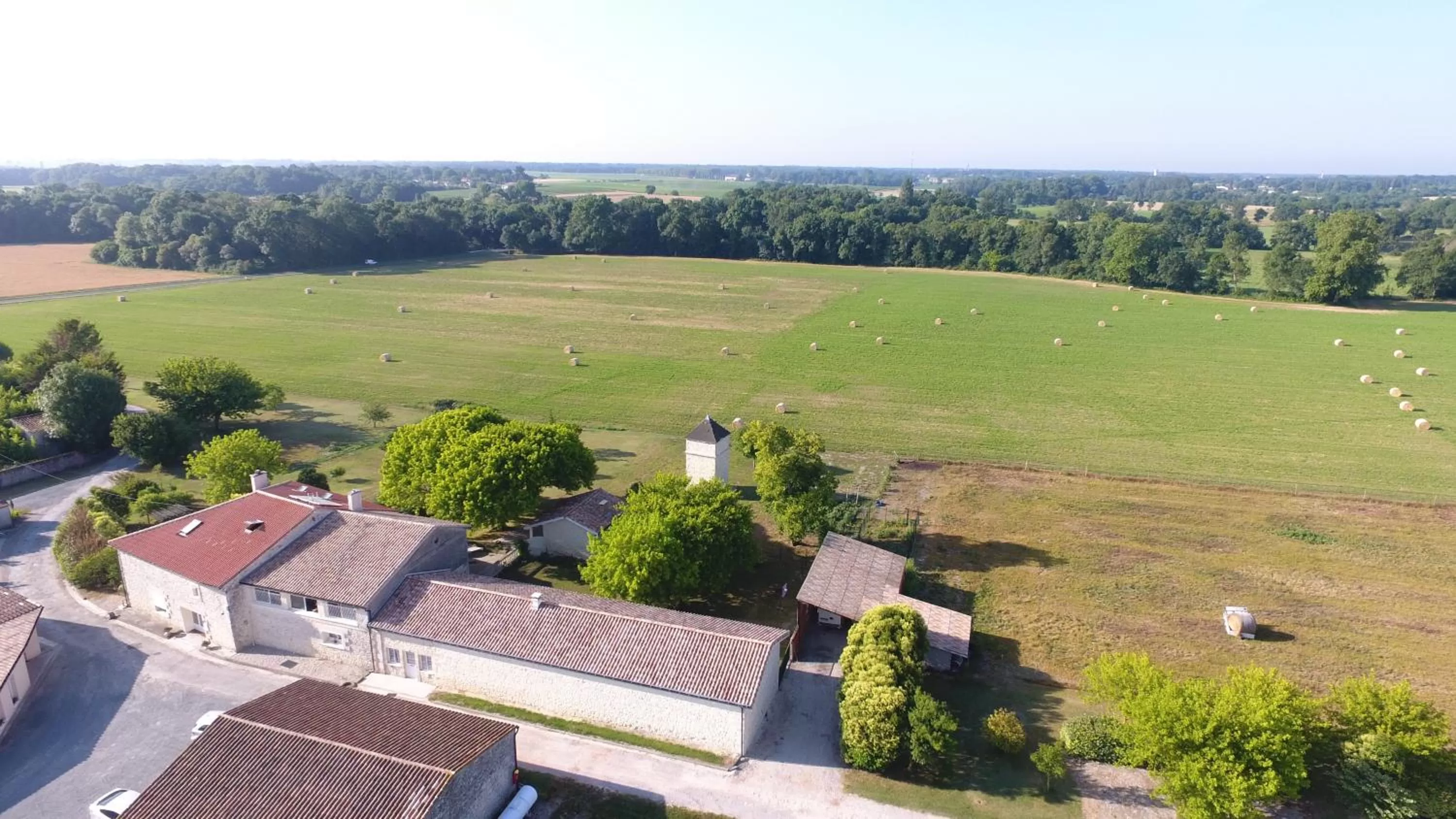Garden view in Chambres d'Hôtes Château Pierre de Montignac