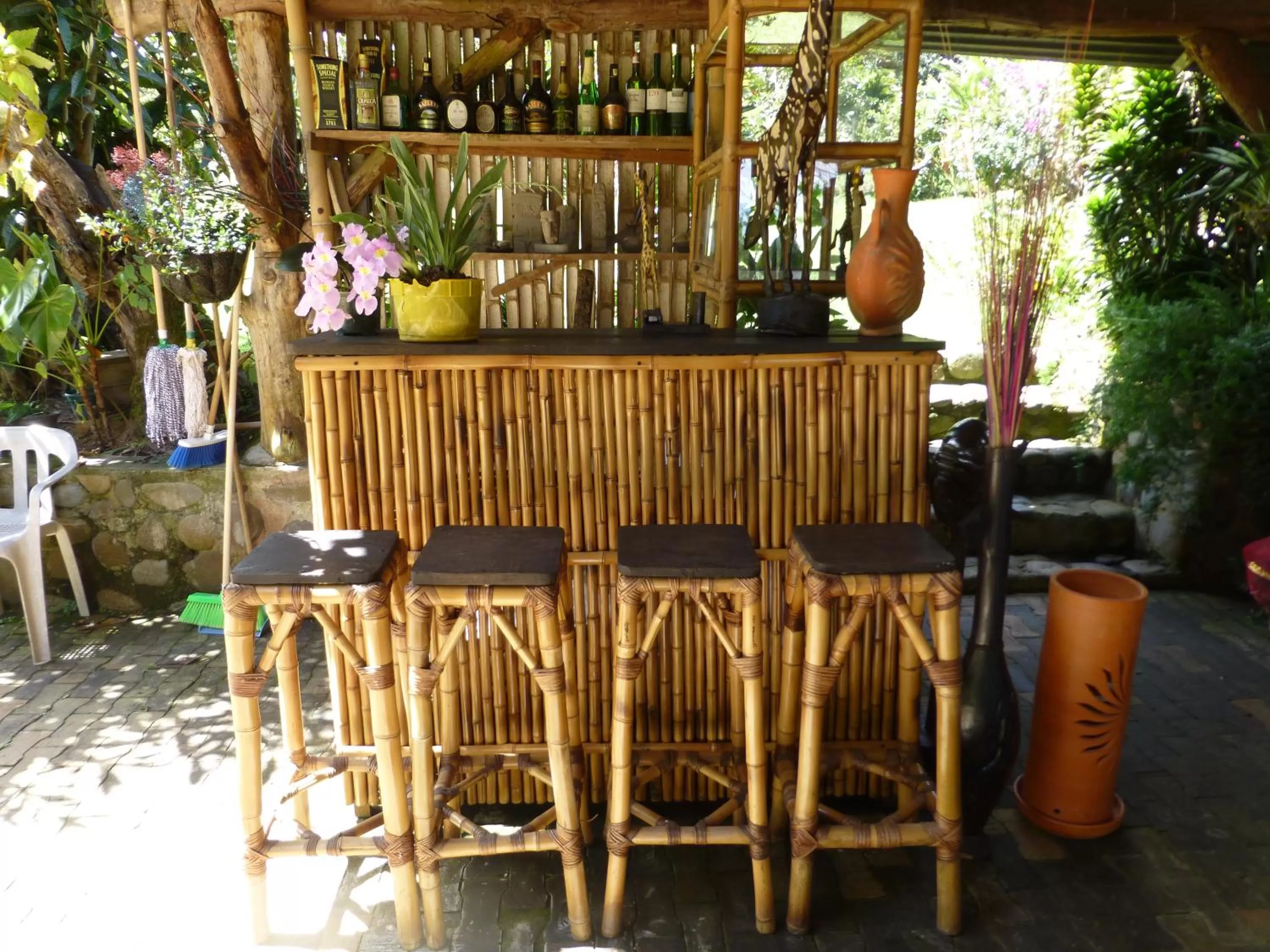 Lounge or bar in Finca El Cielo