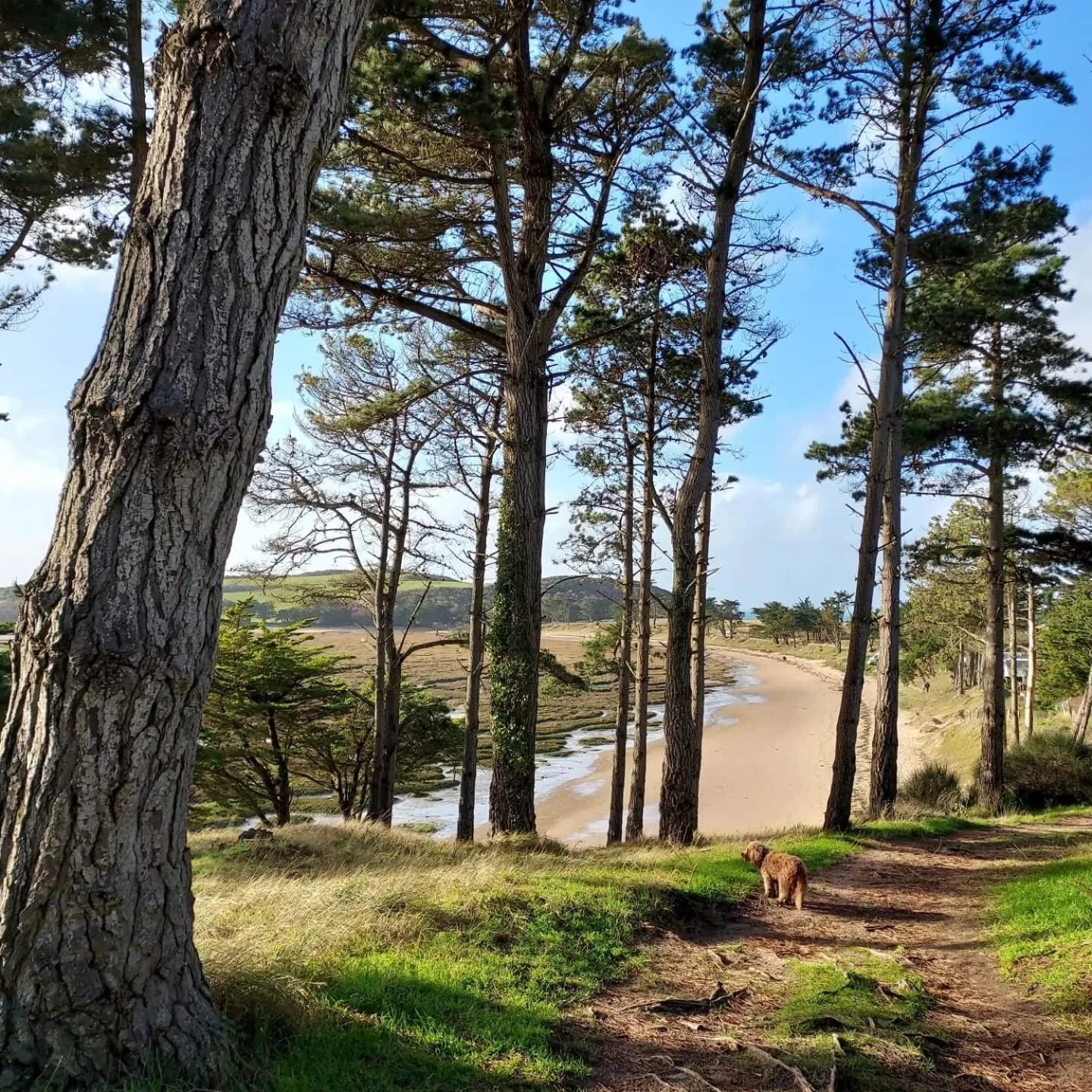 Maison Triton et Porcelaine