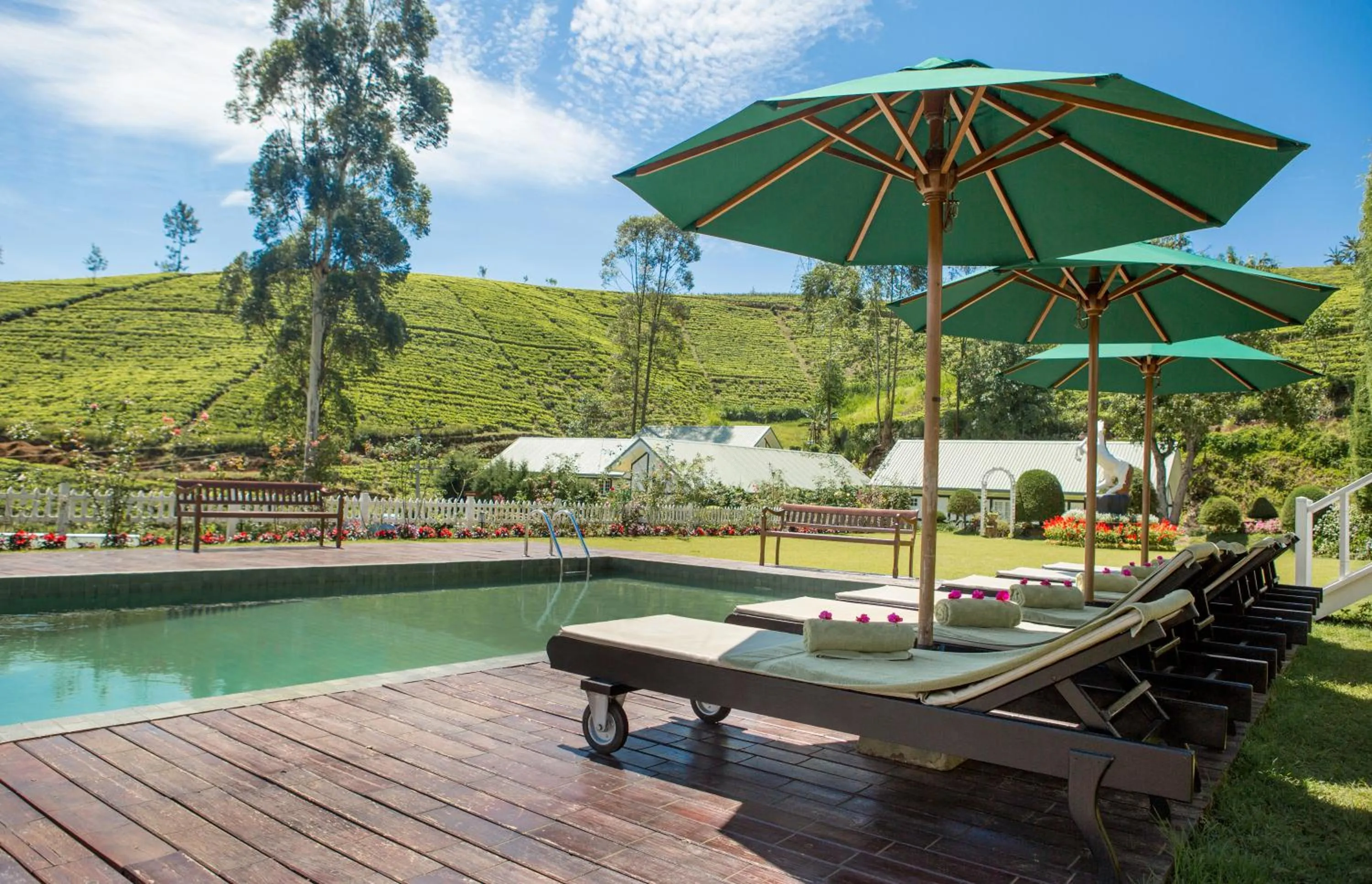 Swimming pool in Langdale Boutique Hotel by Amaya