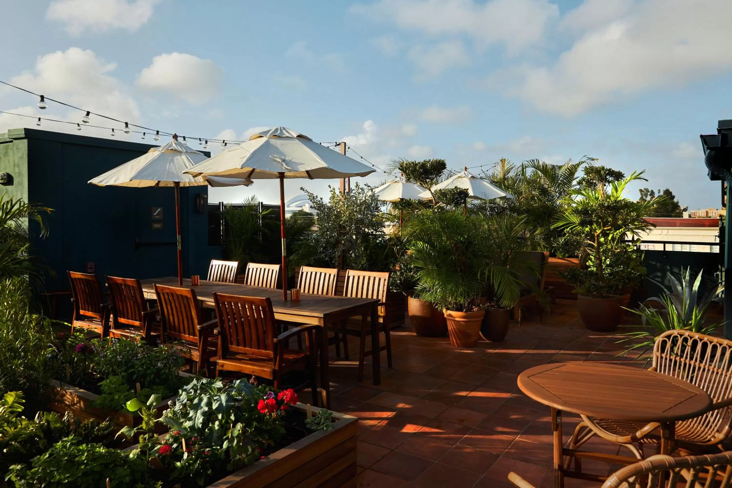 Patio, Restaurant/Places to Eat in Life House, Little Havana