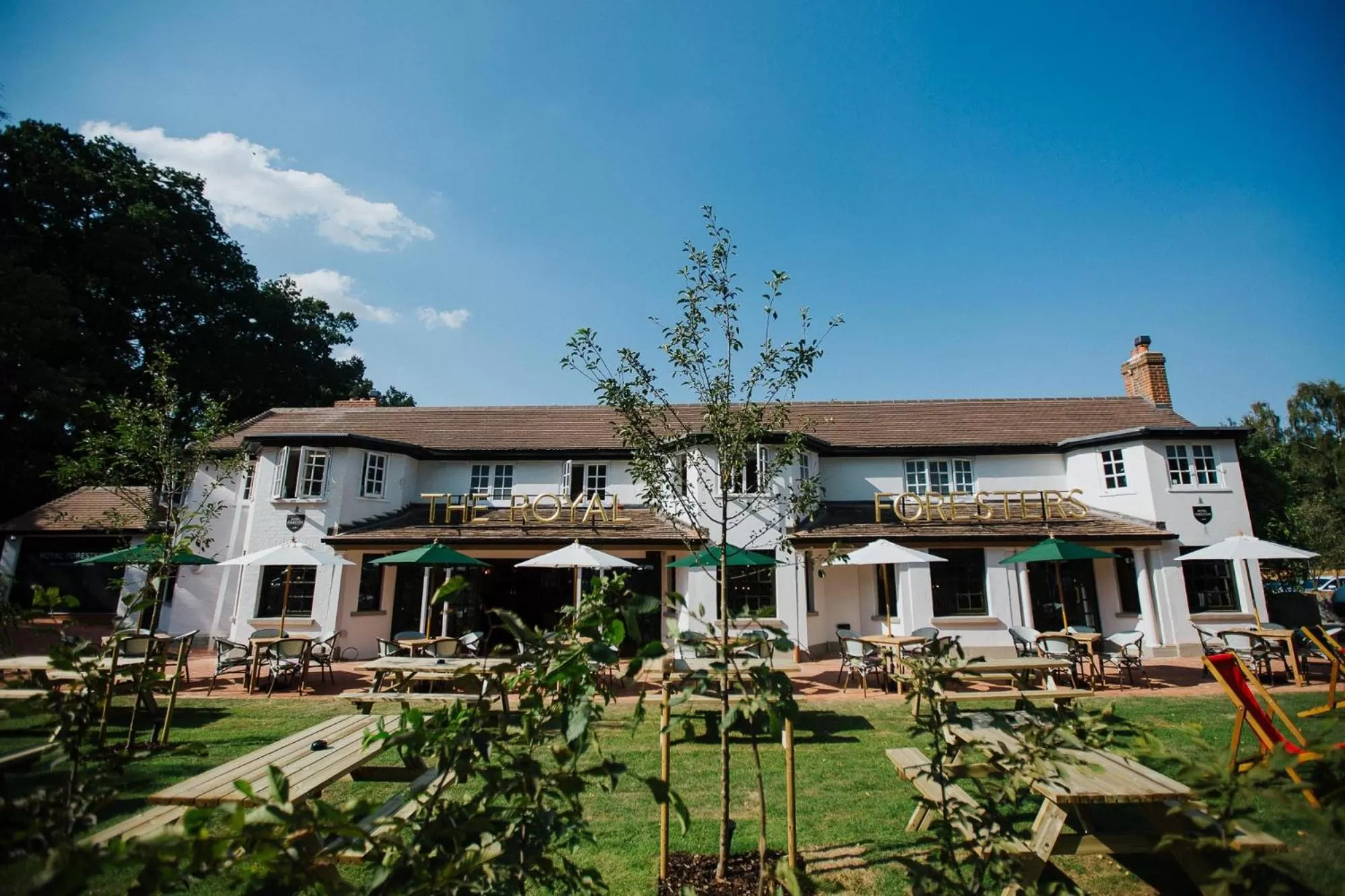 Property building in The Royal Foresters