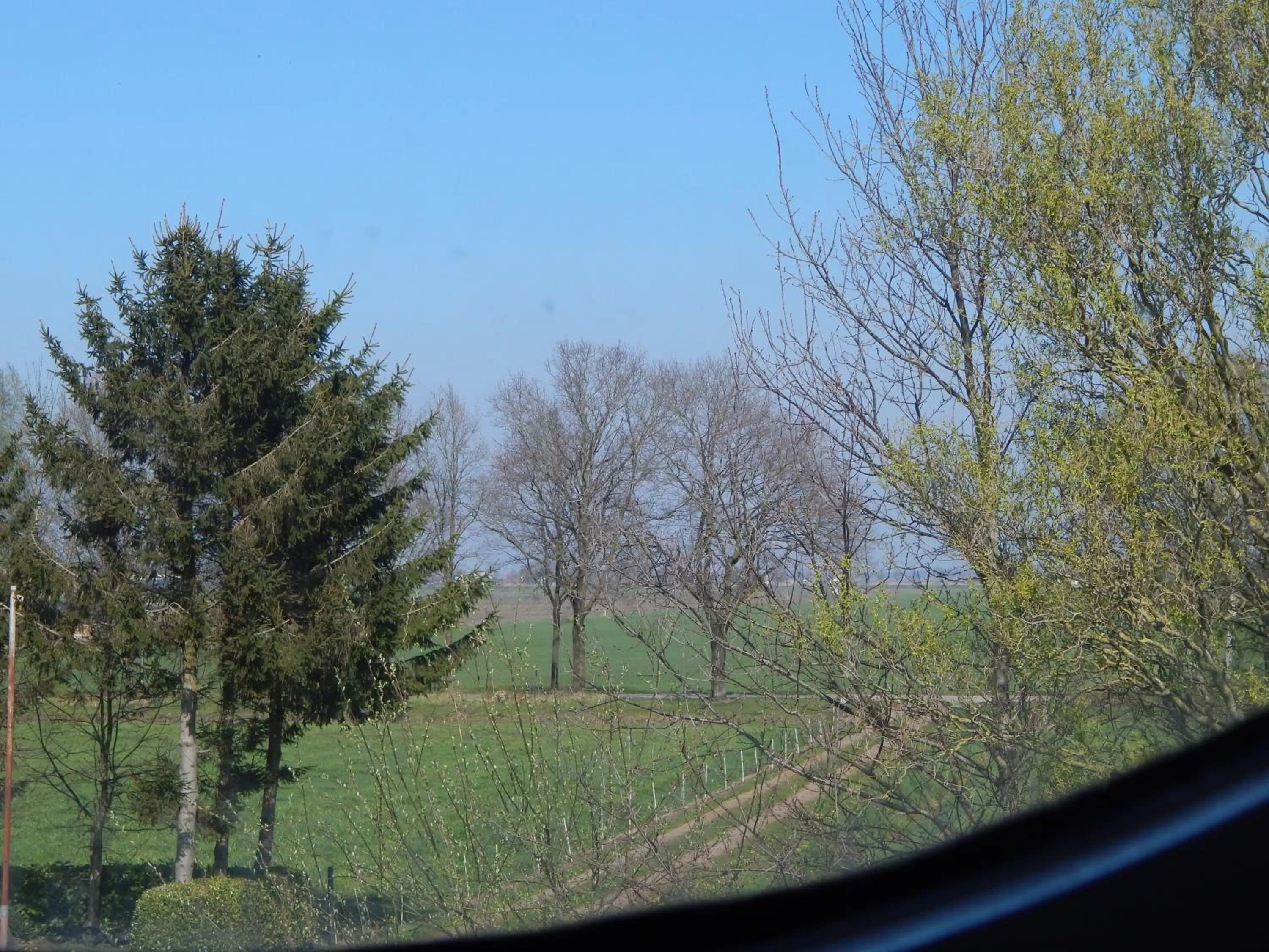 Garden view in Tintaglia, betaalbaar en gastvrij