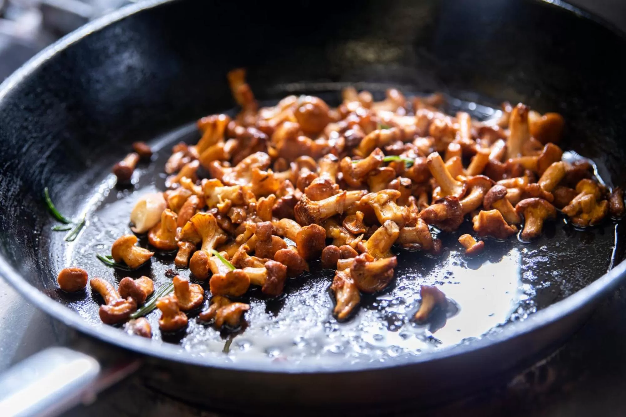 Restaurant/places to eat in Fora Hotel Hannover by Mercure