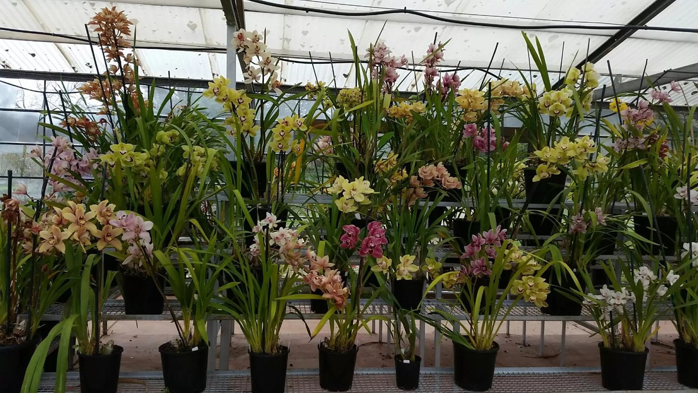 Other in Ararat Southern Cross Motor Inn