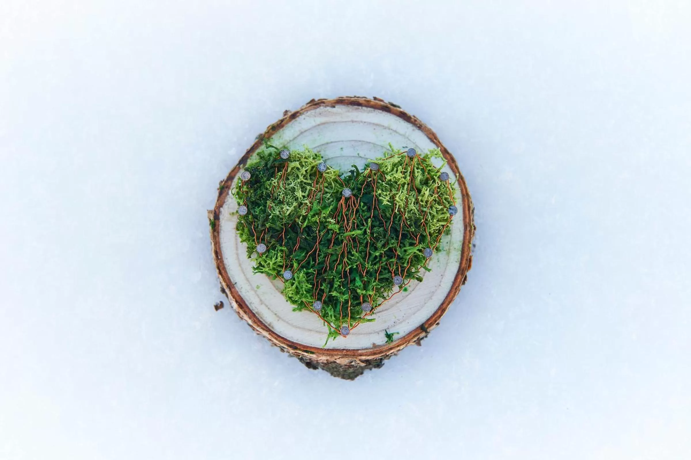 Decorative detail in Berghaus Alpenrösli