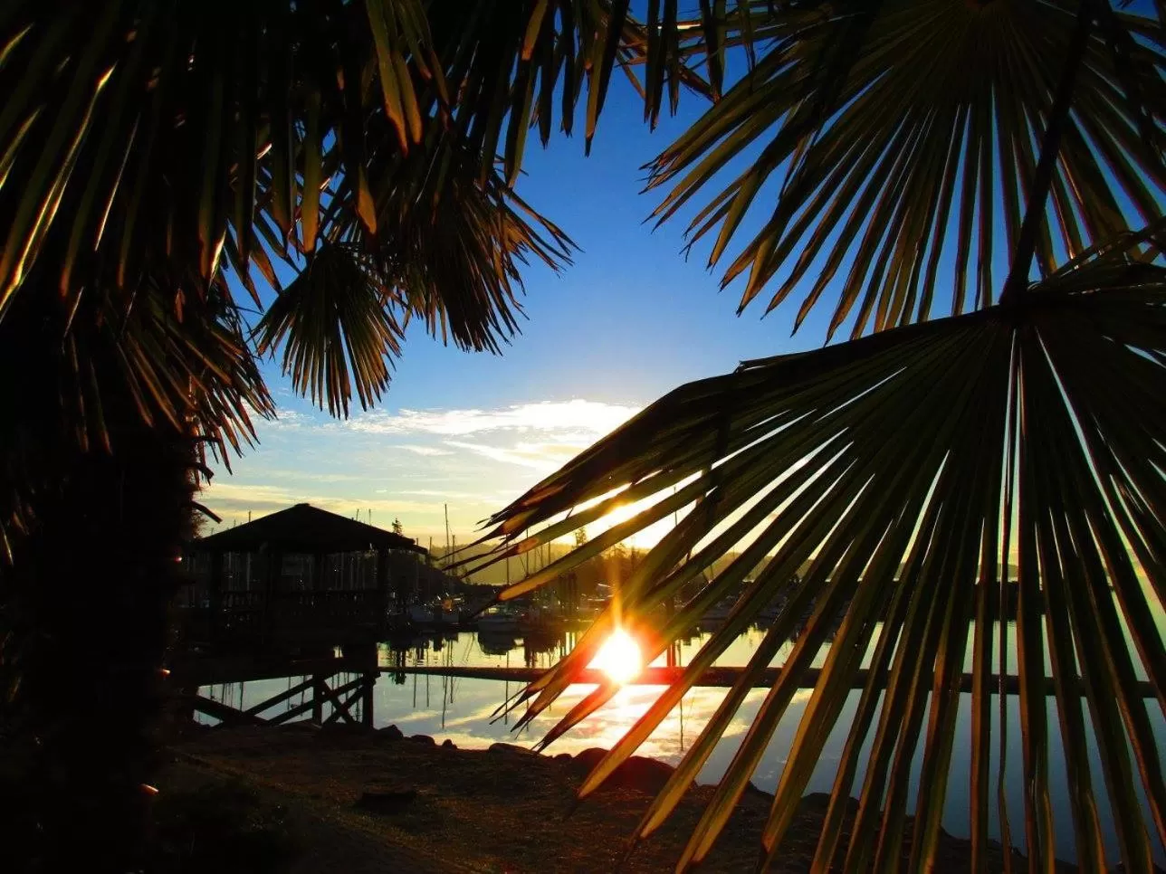 Off site in Magnolia Petal