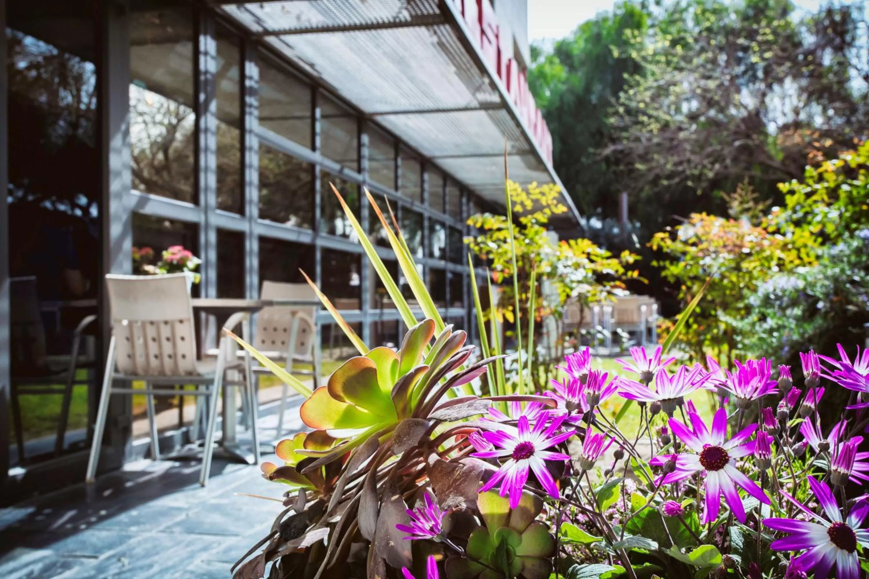 Property building in Best Western Plus Hotel Alfa Aeropuerto