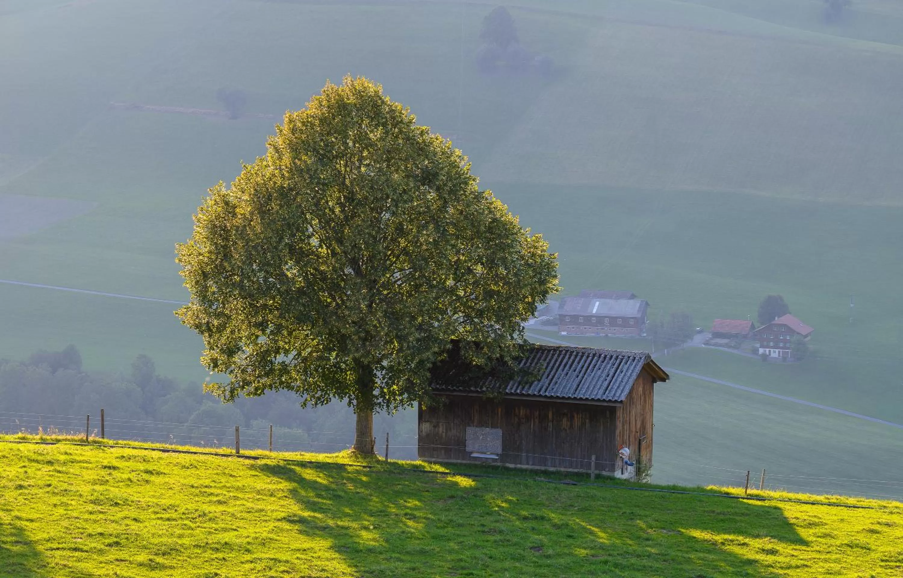 View (from property/room) in B&B Hof Grosschreie