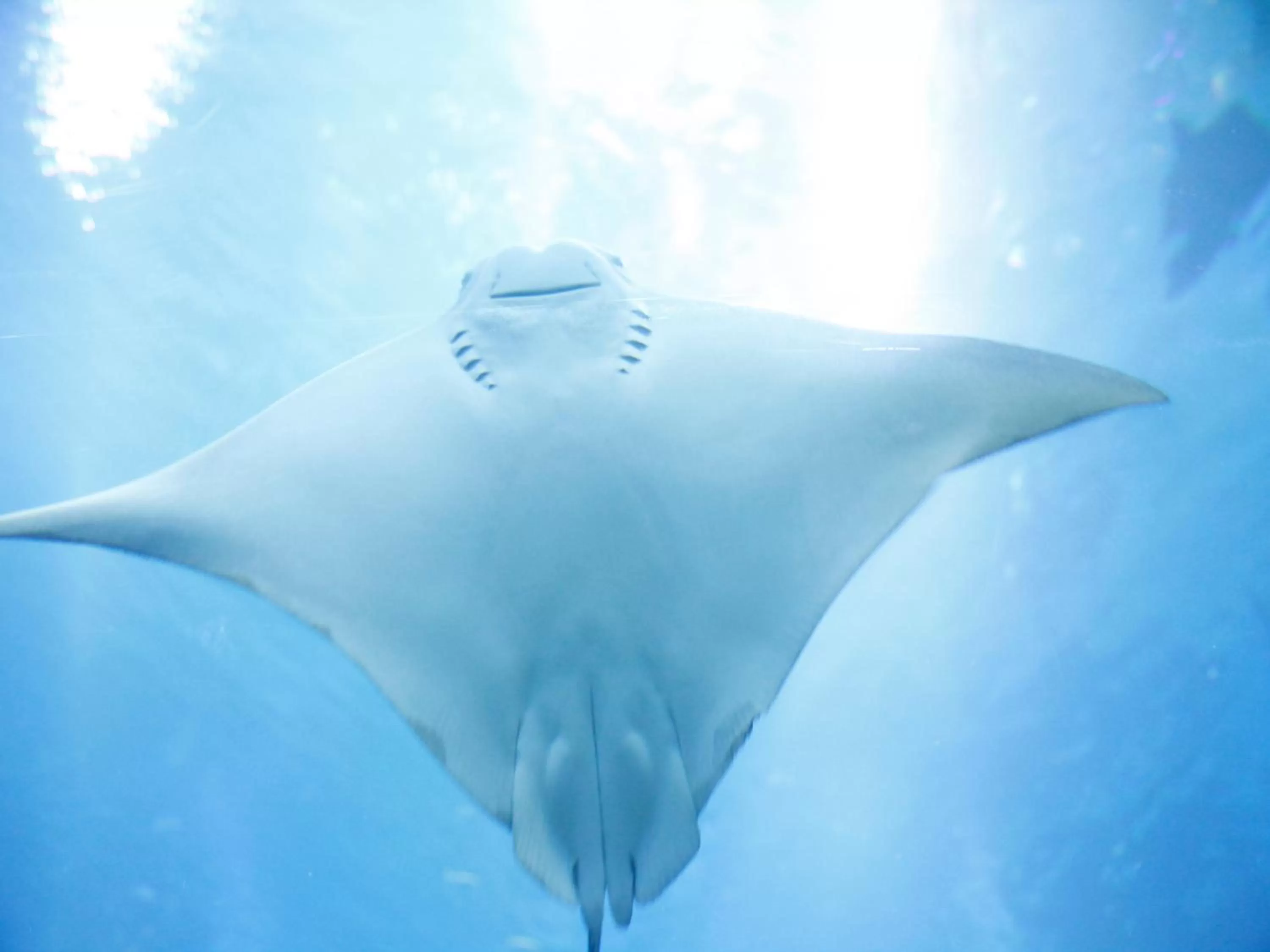 Nearby landmark in Hotel Wing International Select Osaka Umeda