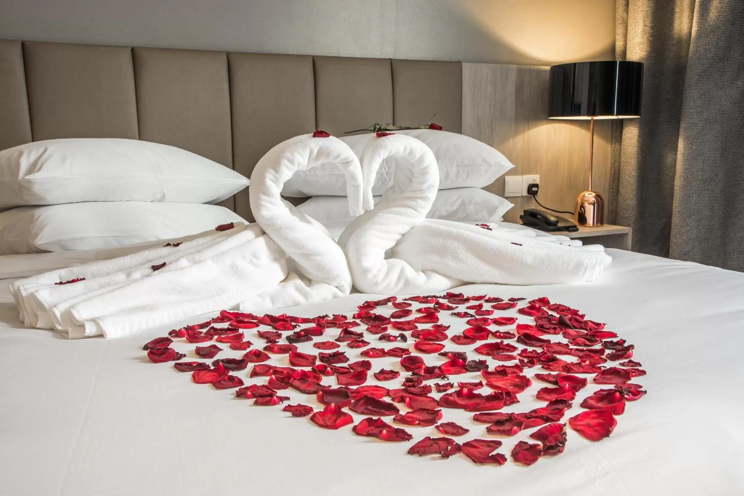 Area and facilities in MTREE Hotel